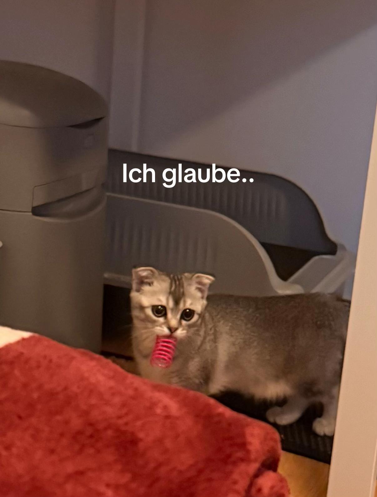 @Divaurteilt