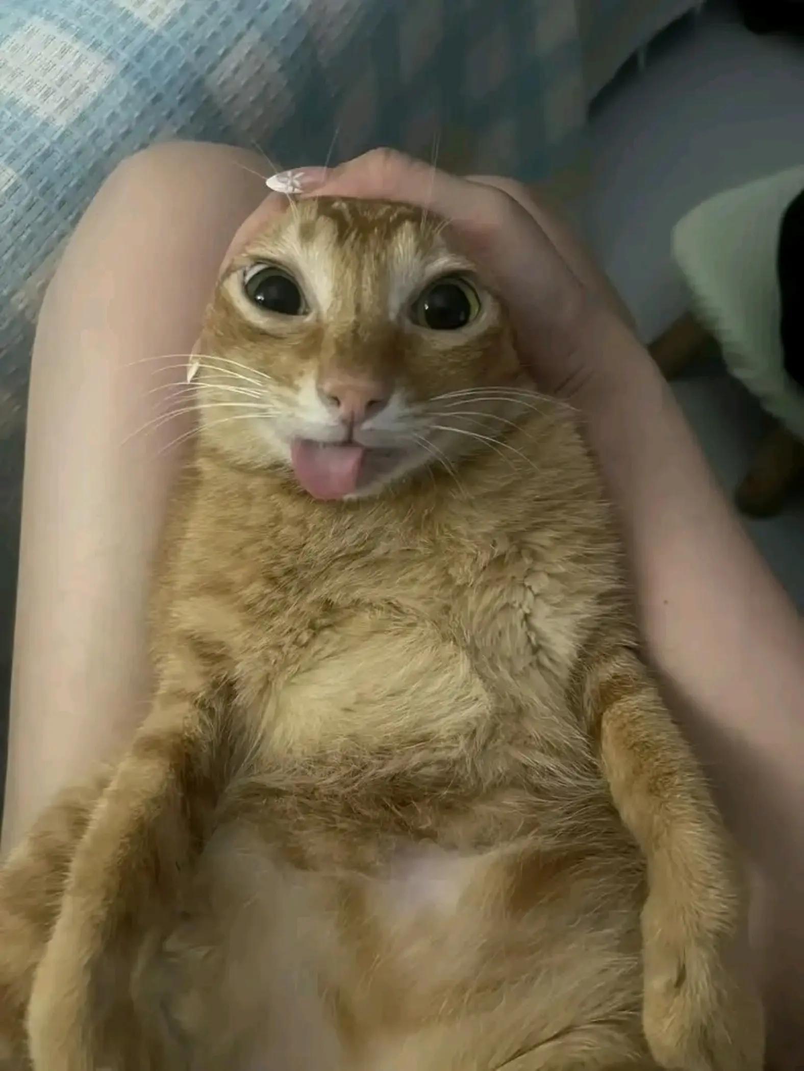 @هذه
