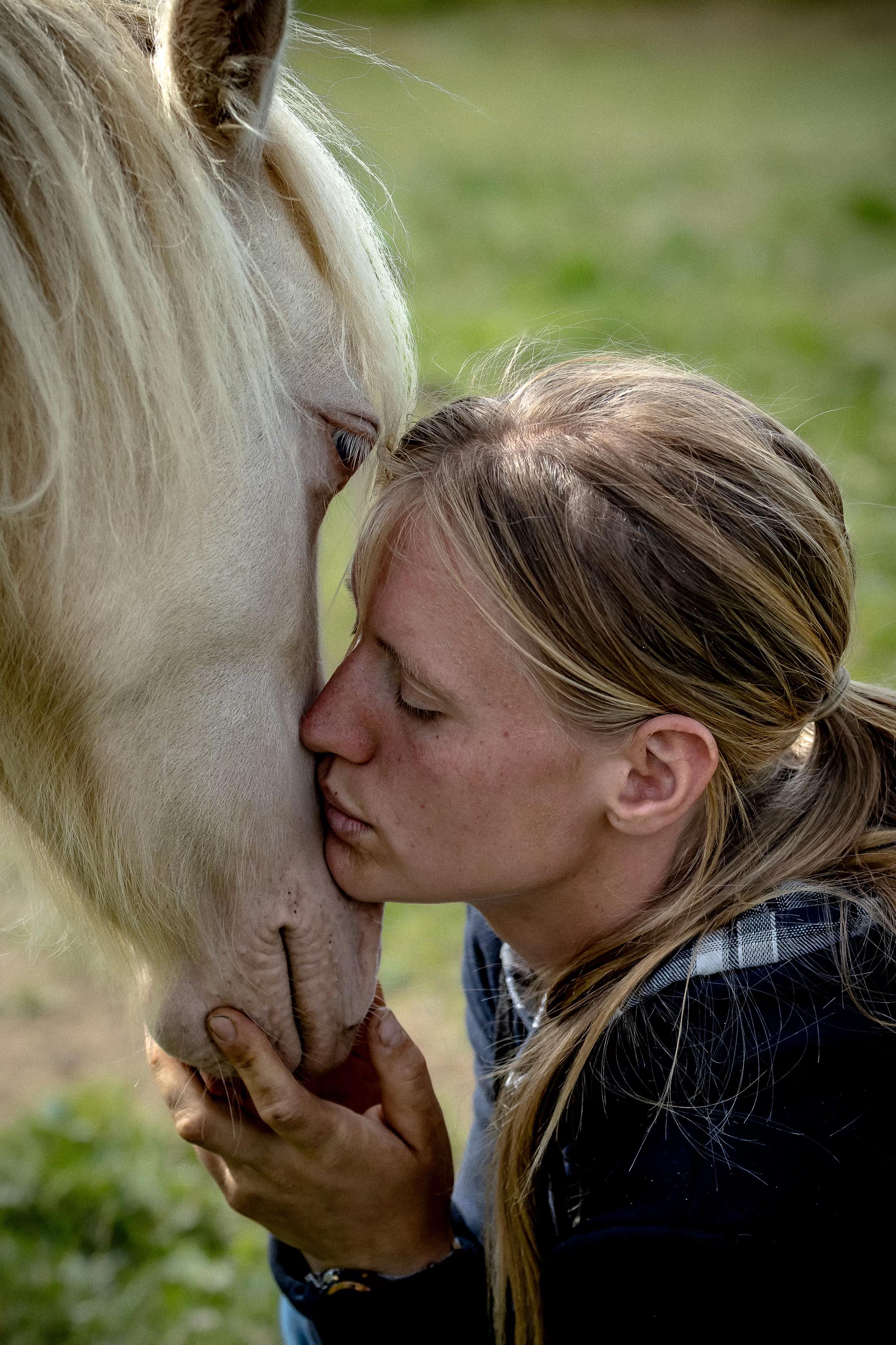 @Sarah and her Ponys and dogs