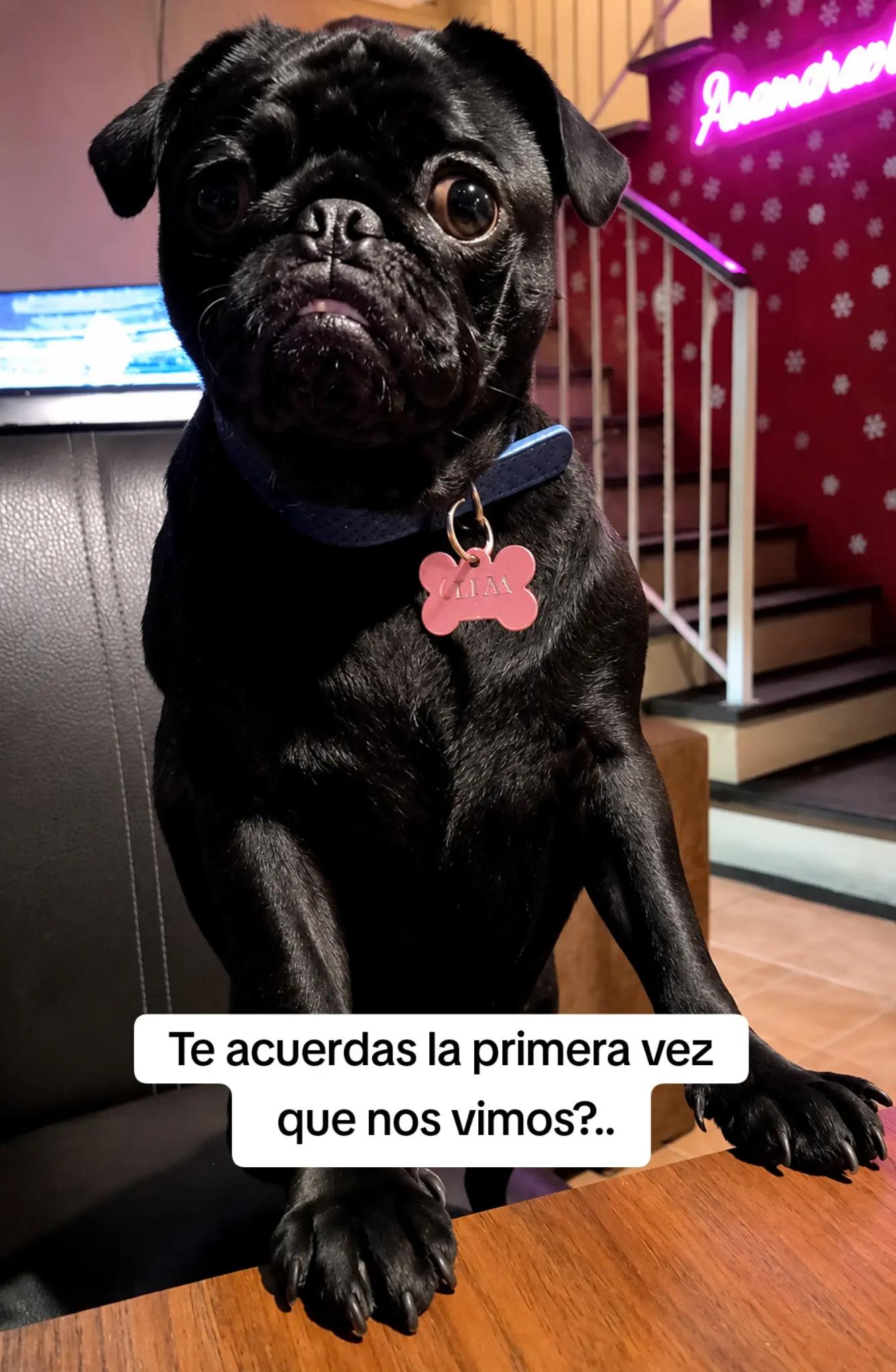 @Anamaravilla