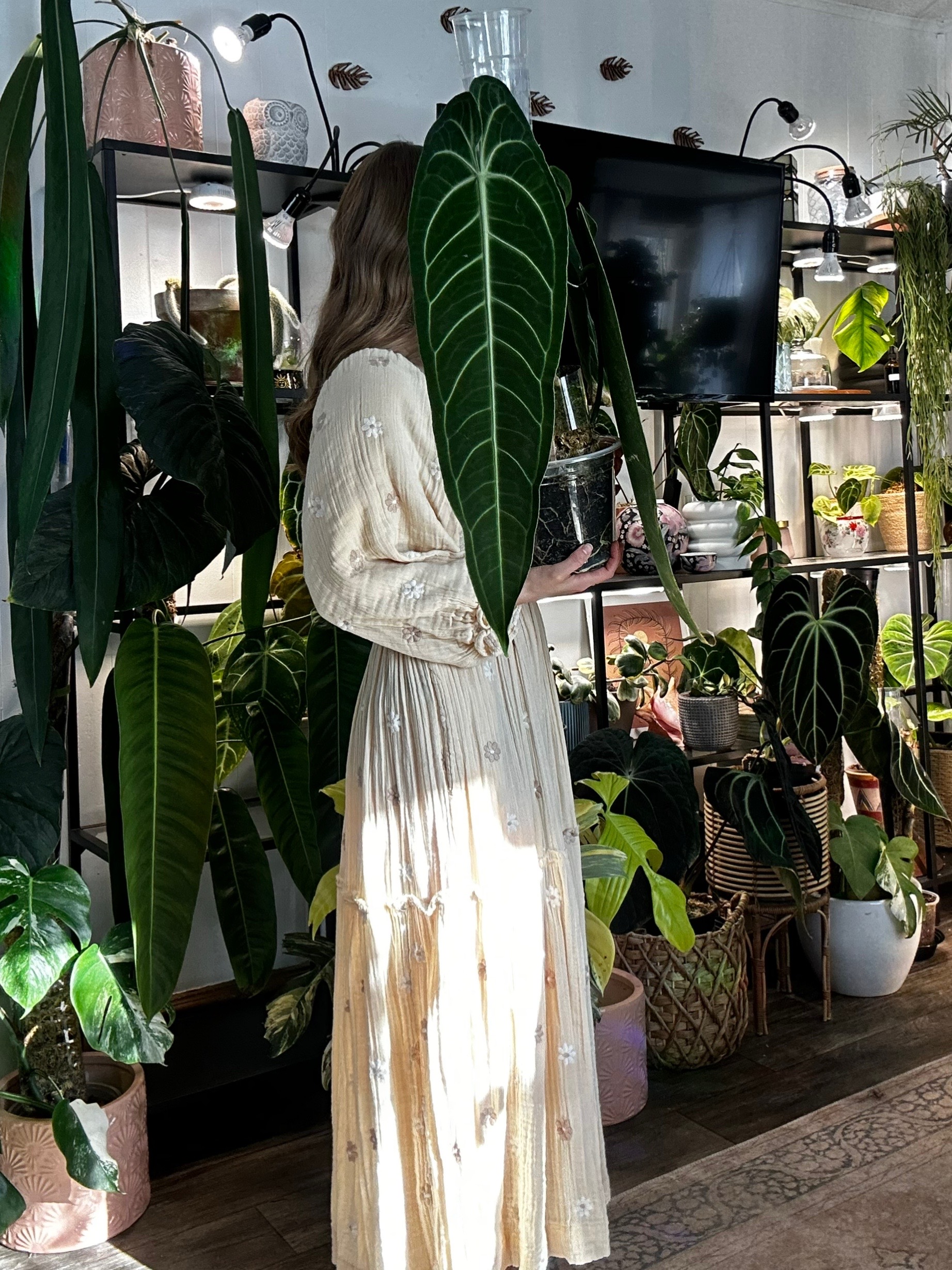 @theplantgirl_diaries