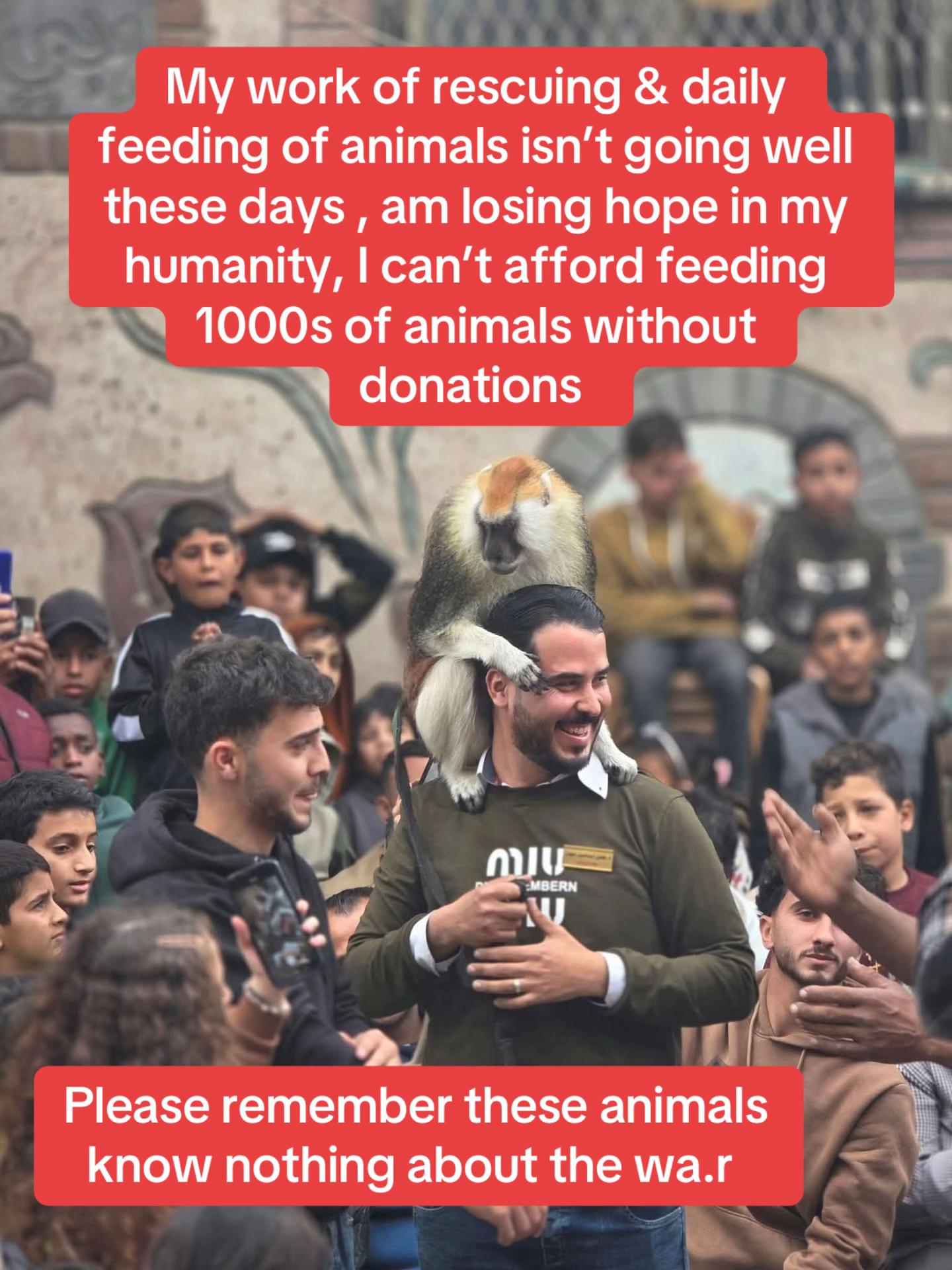 @Gaza Animal Rescue