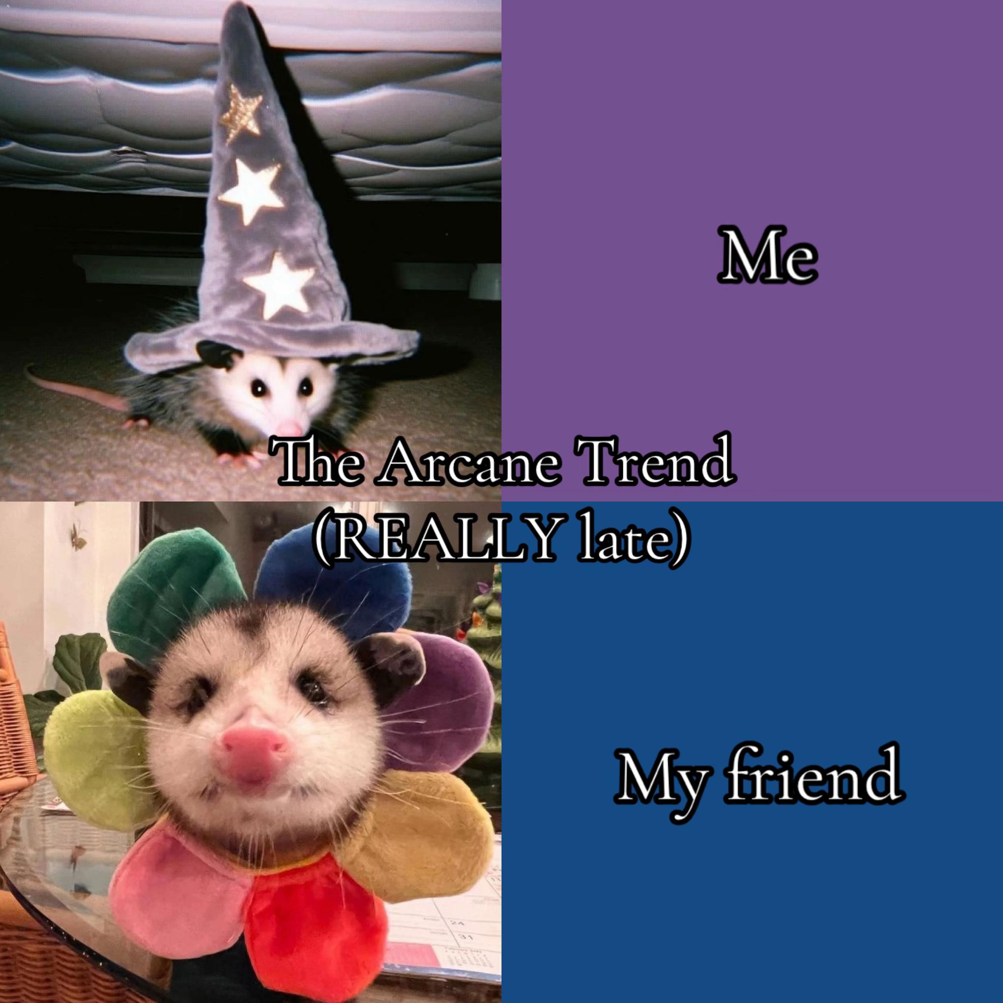 @🥝 ı̣ʍı̣ʞ