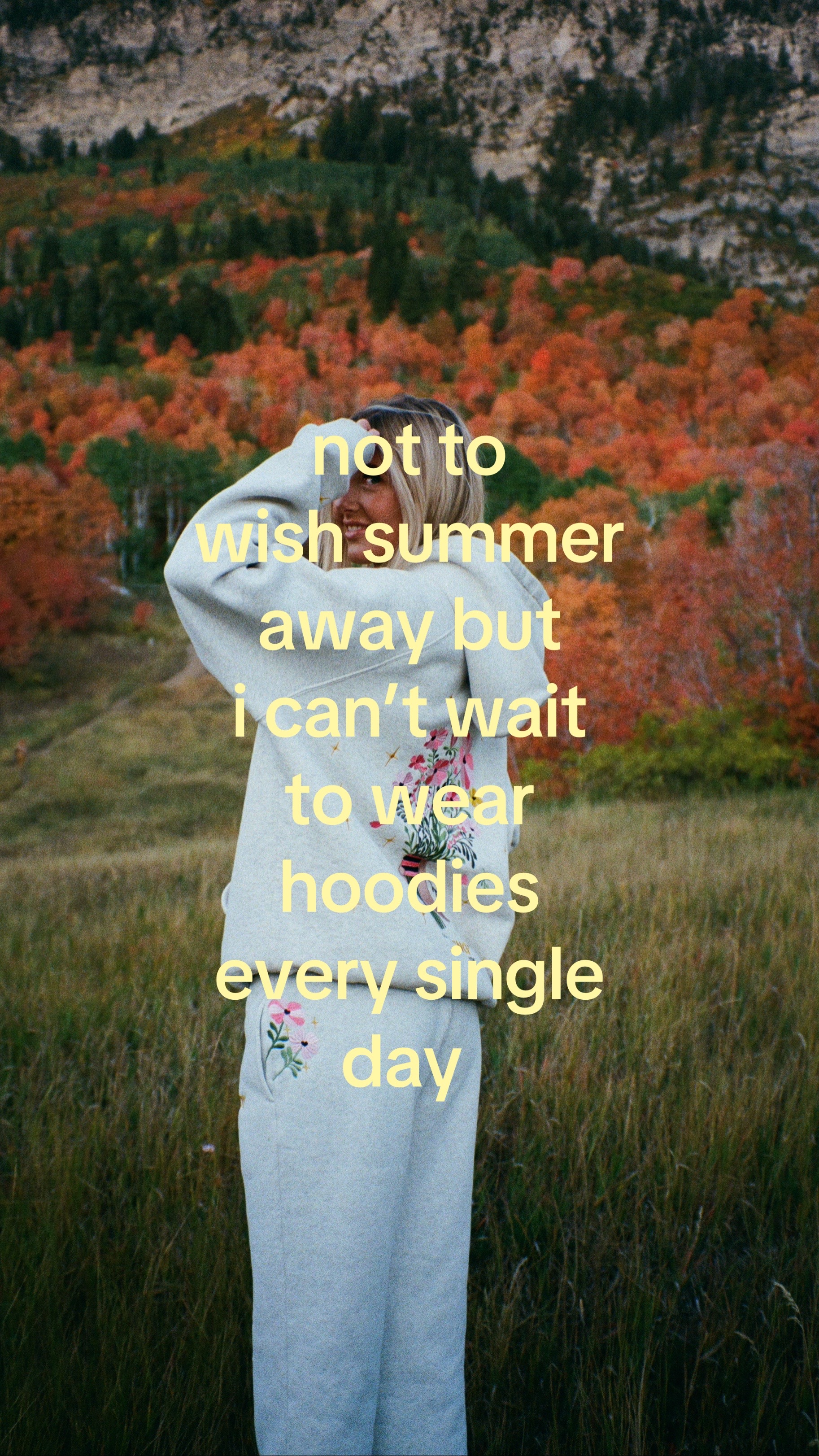 @DANDY