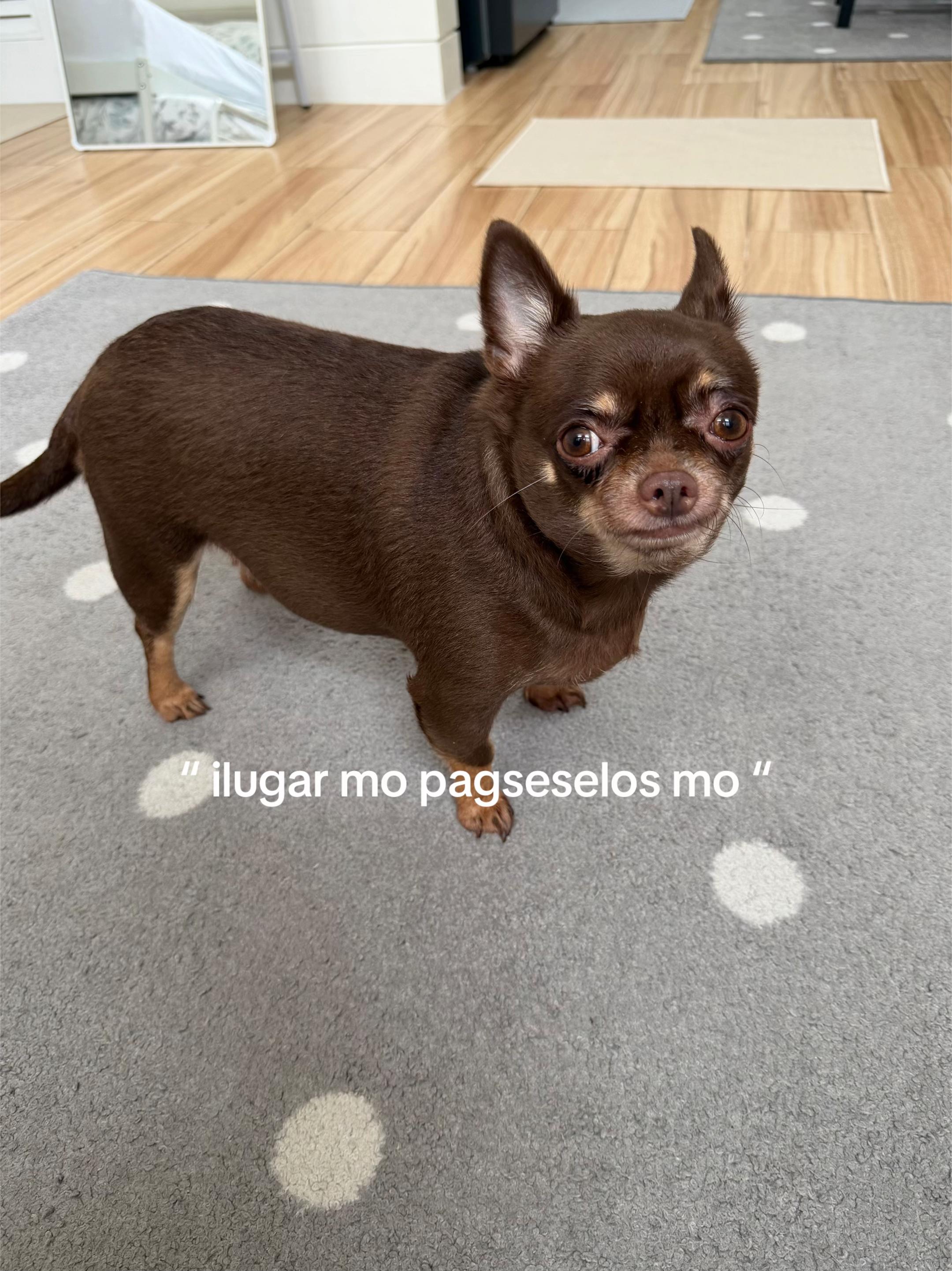 @Bambi