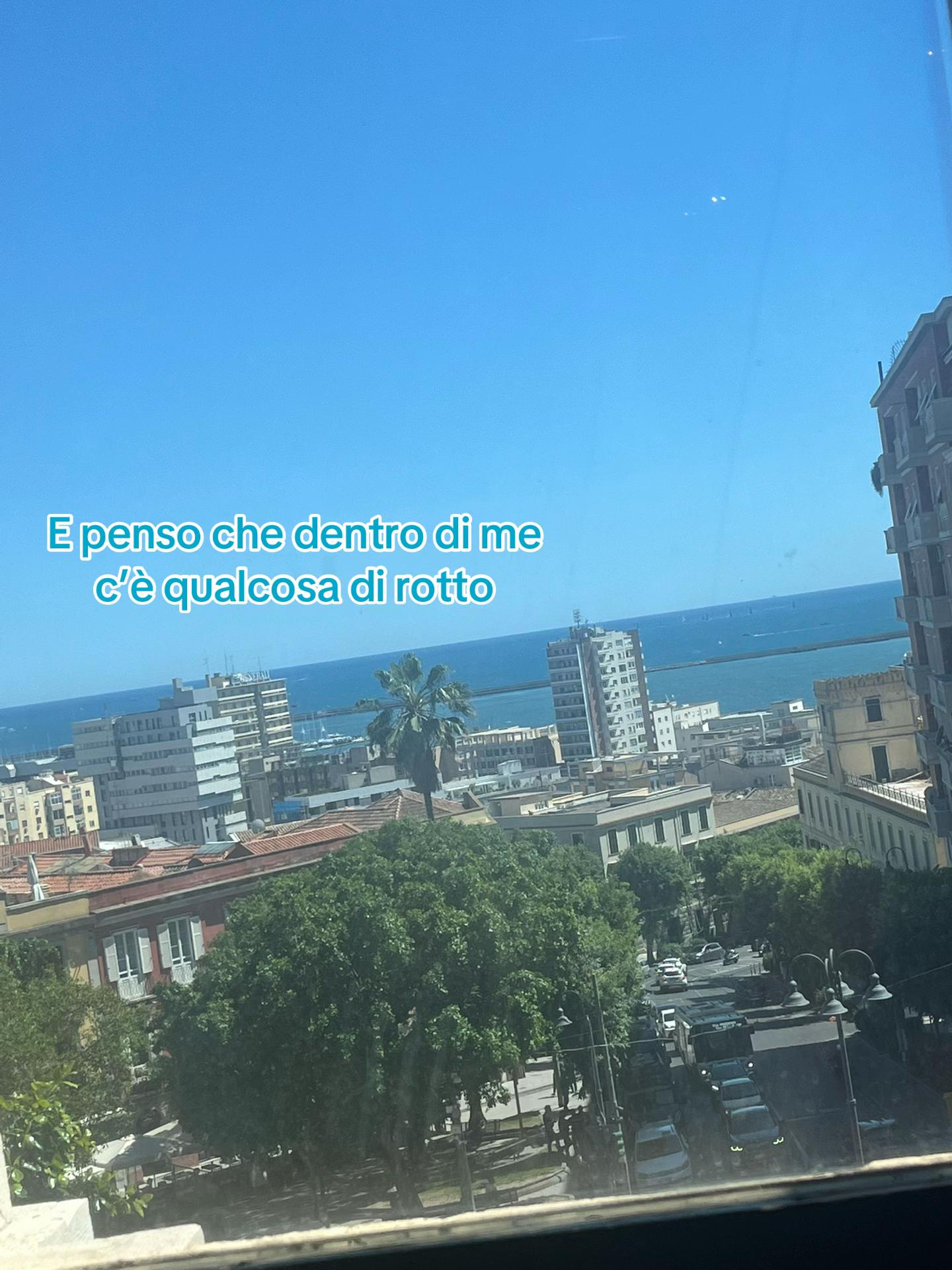 @sfogo