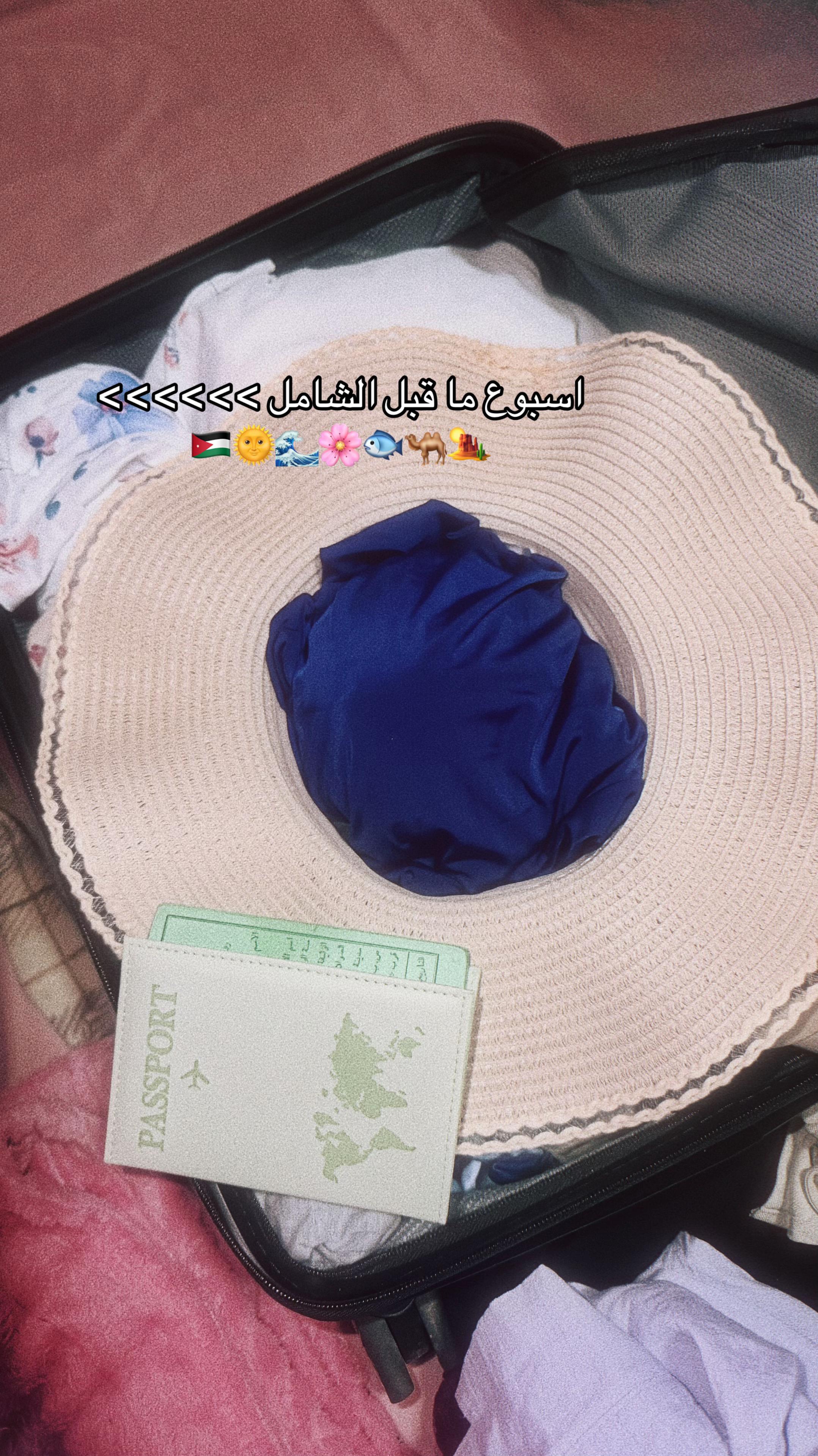 @ᴅᴀʟɪᴀ 🍉