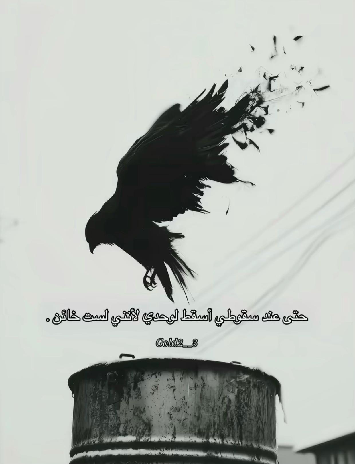 @Ahmed_koka___