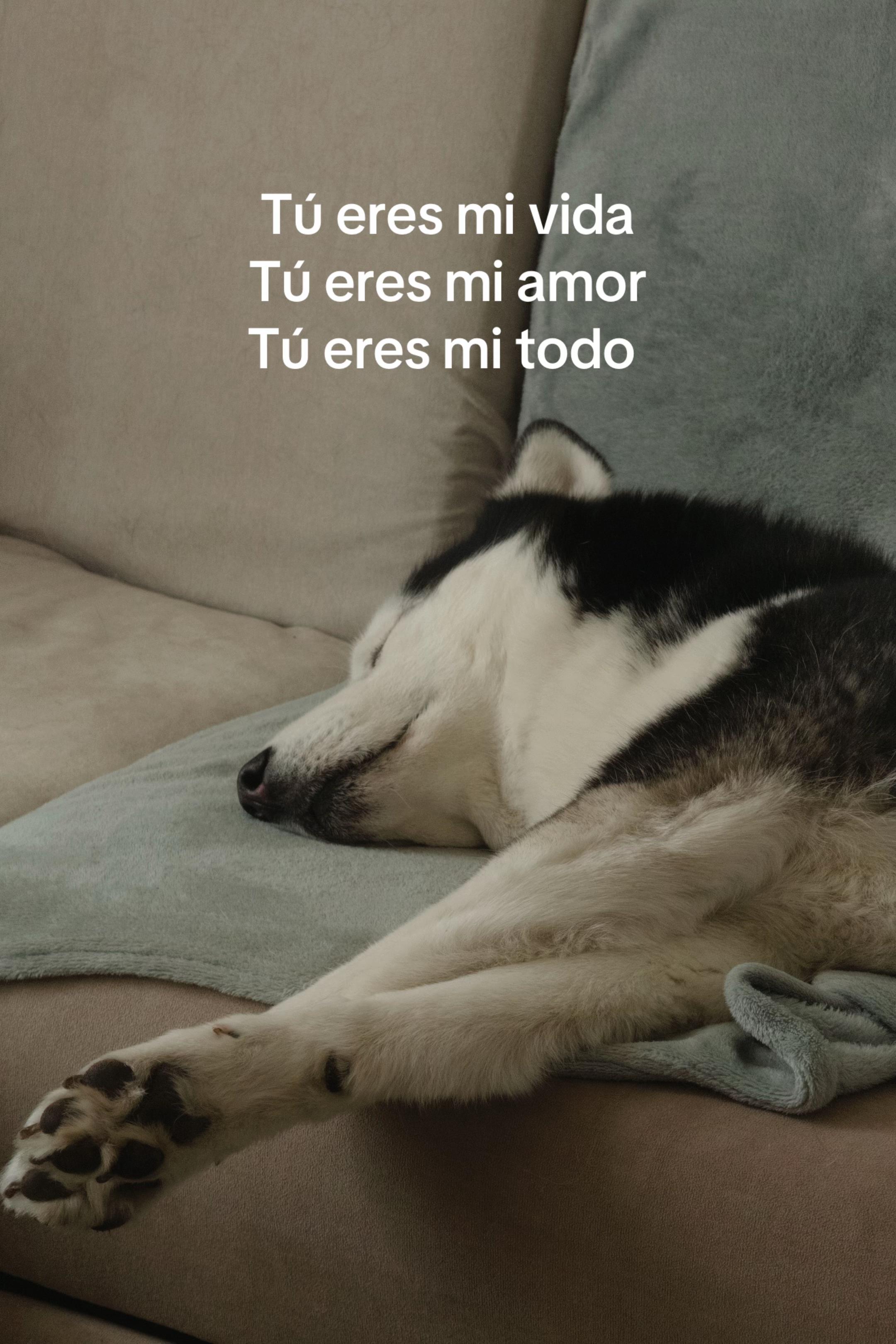 @Gisel Garcia