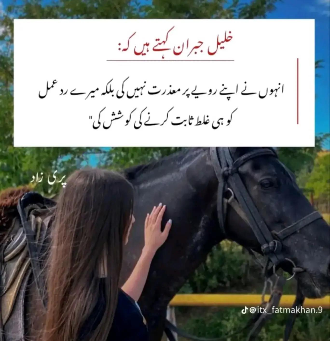 @zaidi