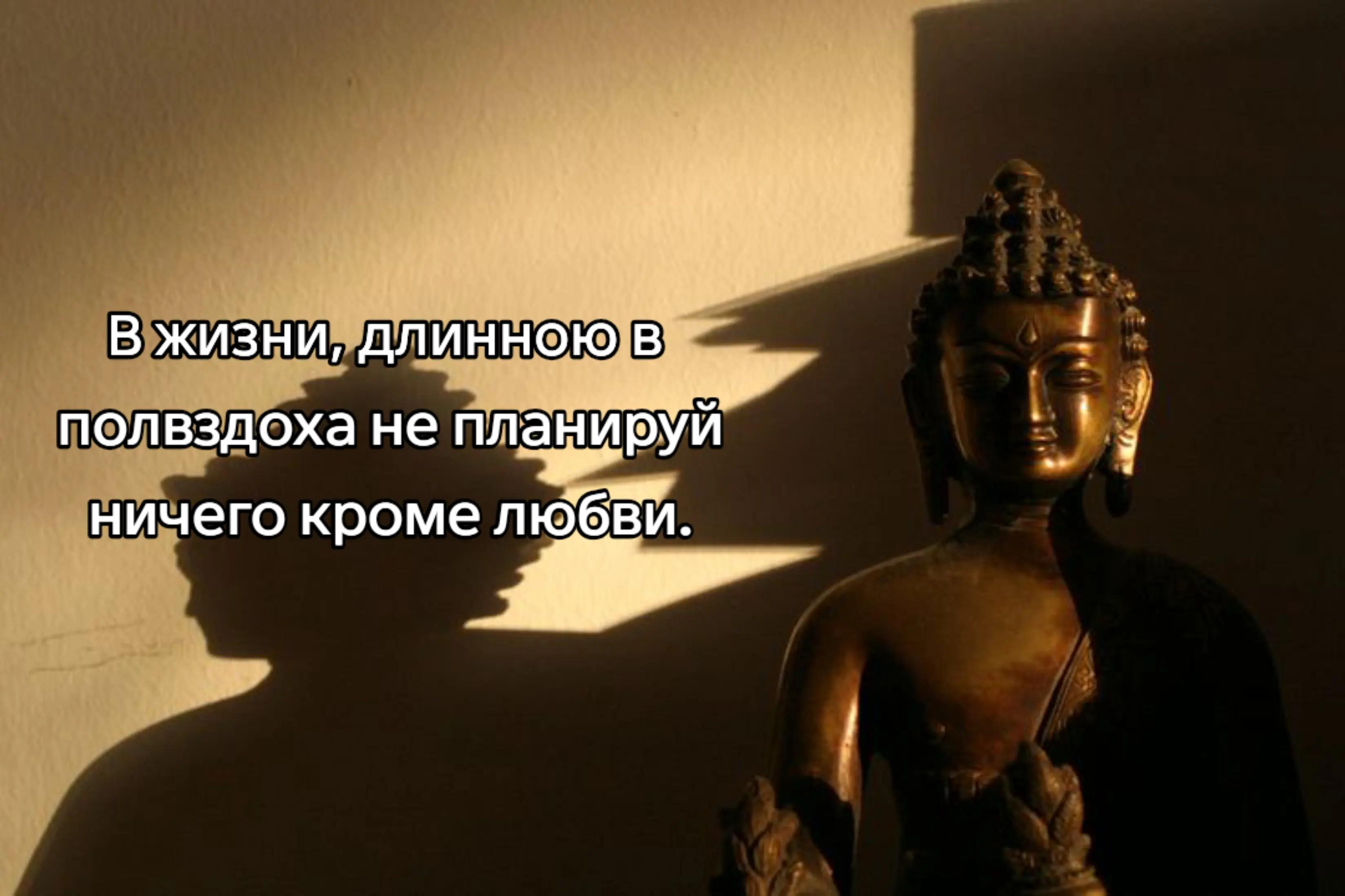@тгк:𝕯𝖊𝖆𝖙𝖓𝖎𝖙𝖊