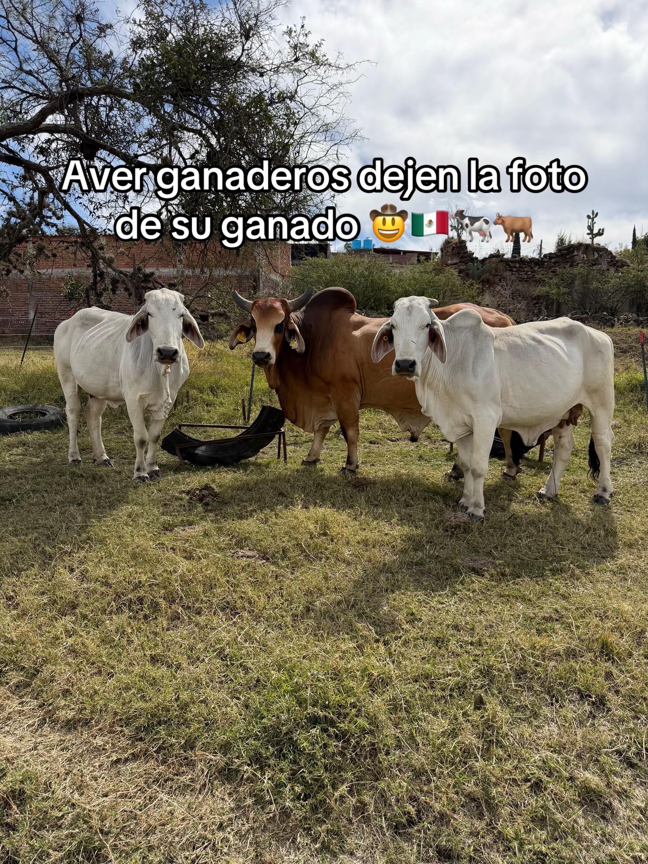 @Johnny Fernandez