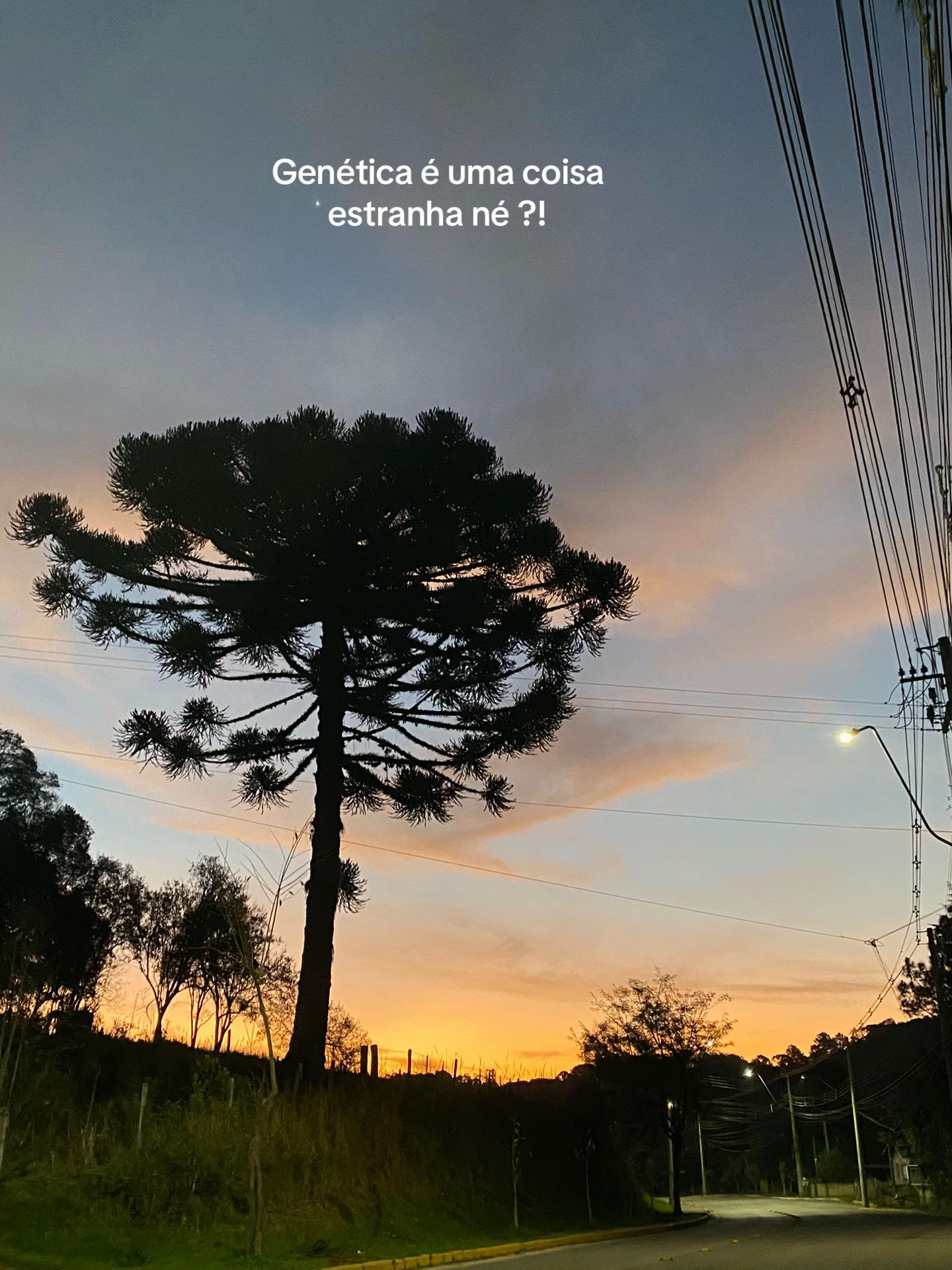 @Ester 𝓦. Katlen !&iexcl; 💜