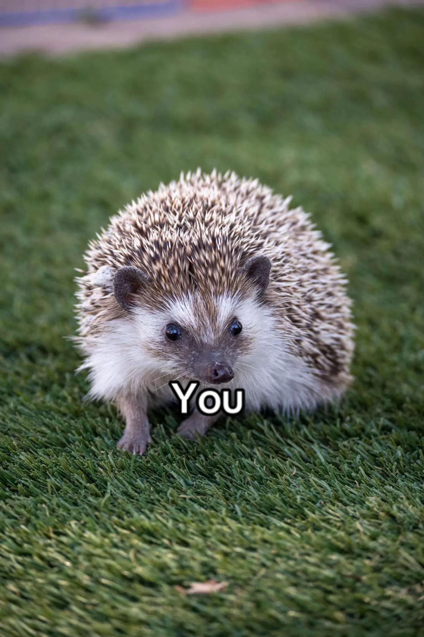 @丰 Tokio Hotel Armyyy丰