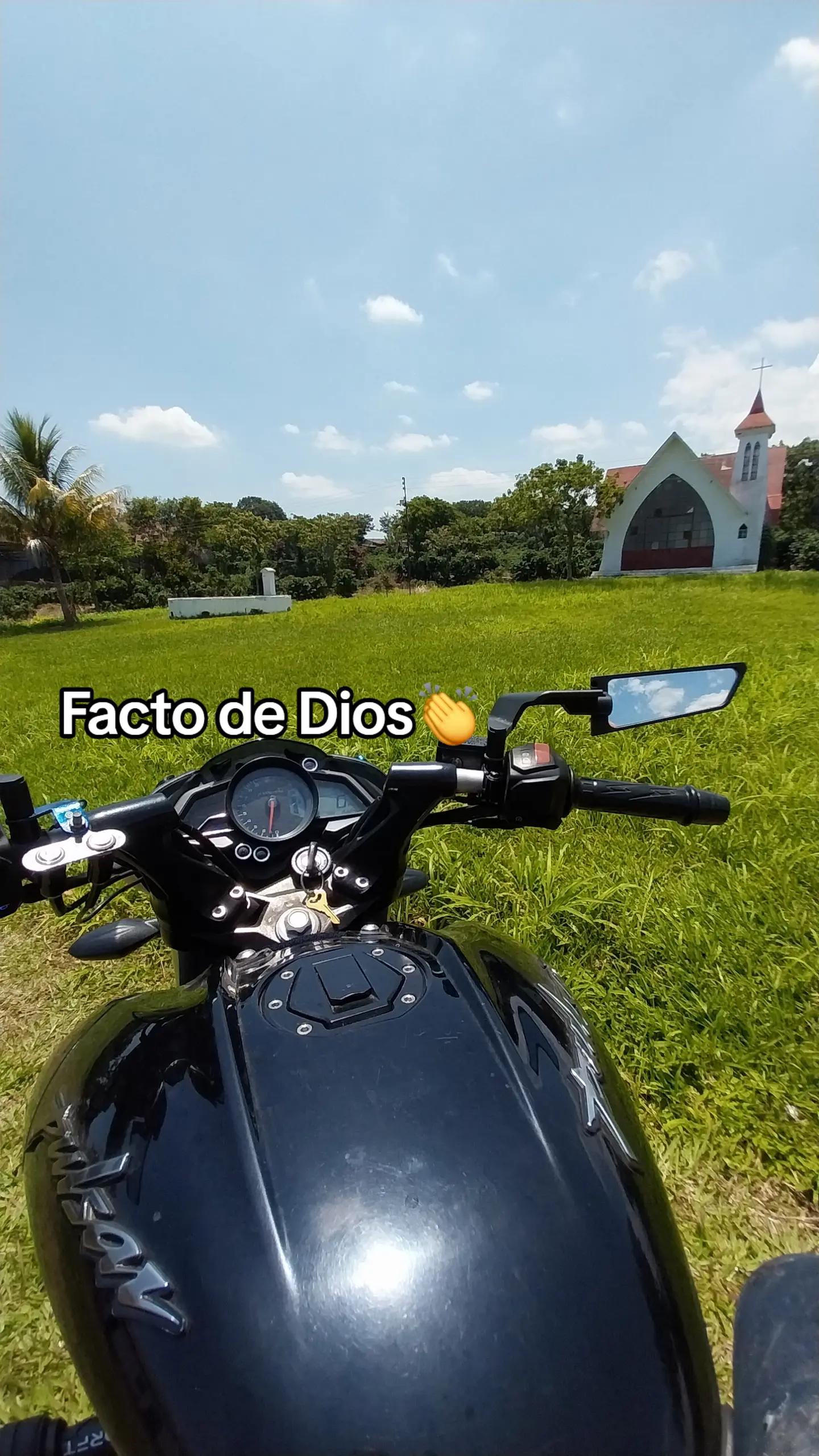 @frank Tzep Quem&aacute;🦁