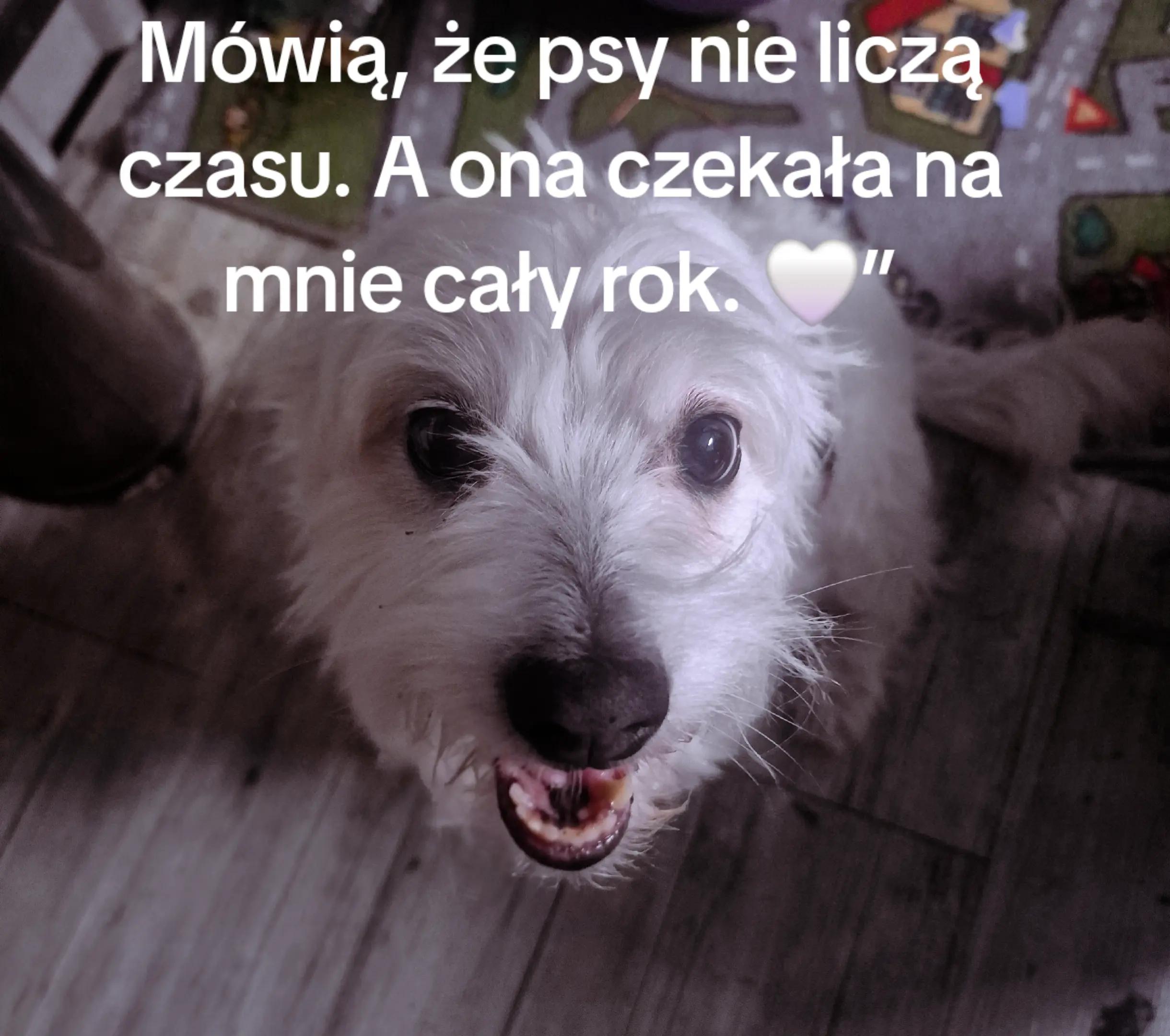 @Beatarudak