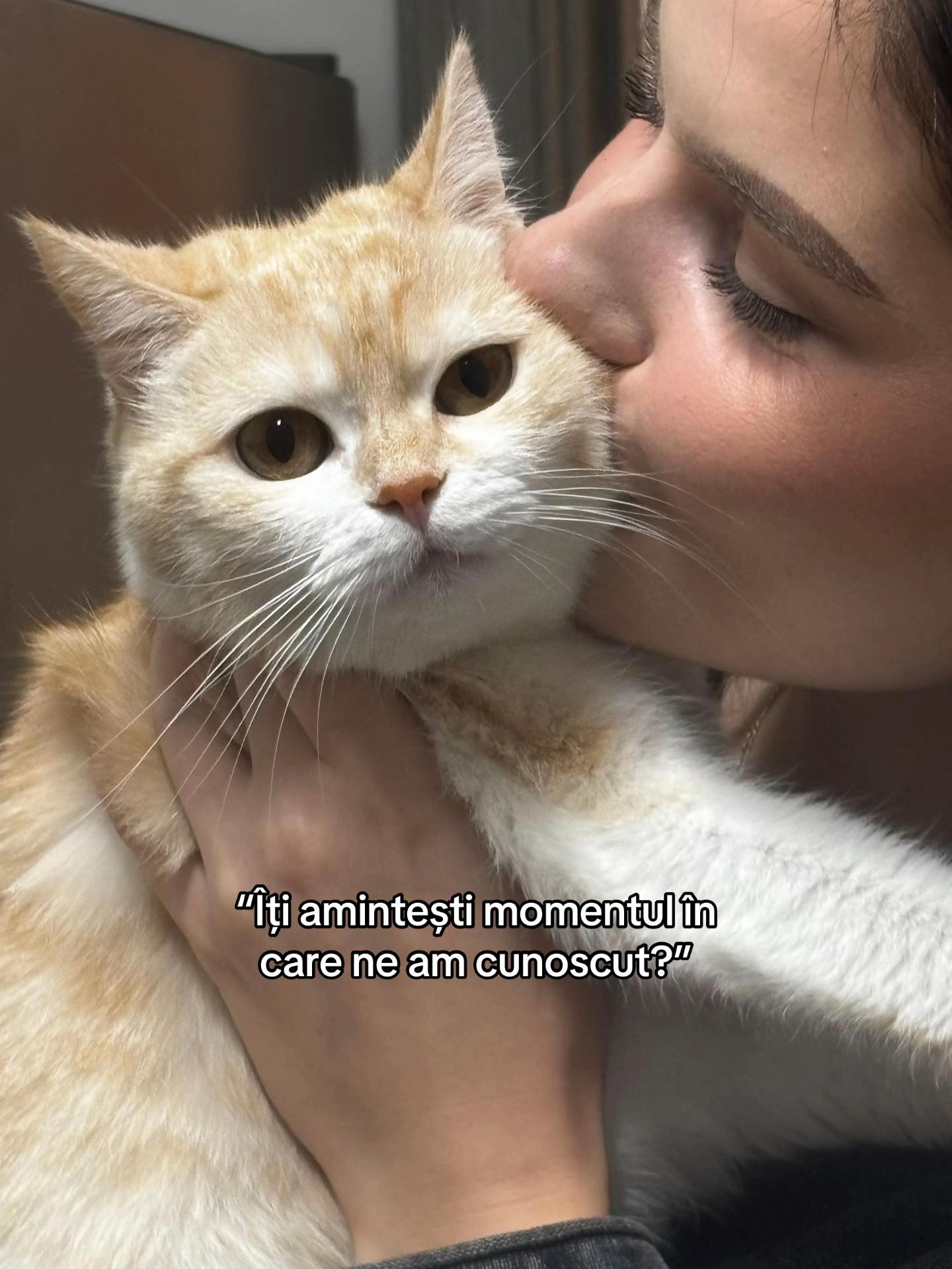 @Ramona Lupu