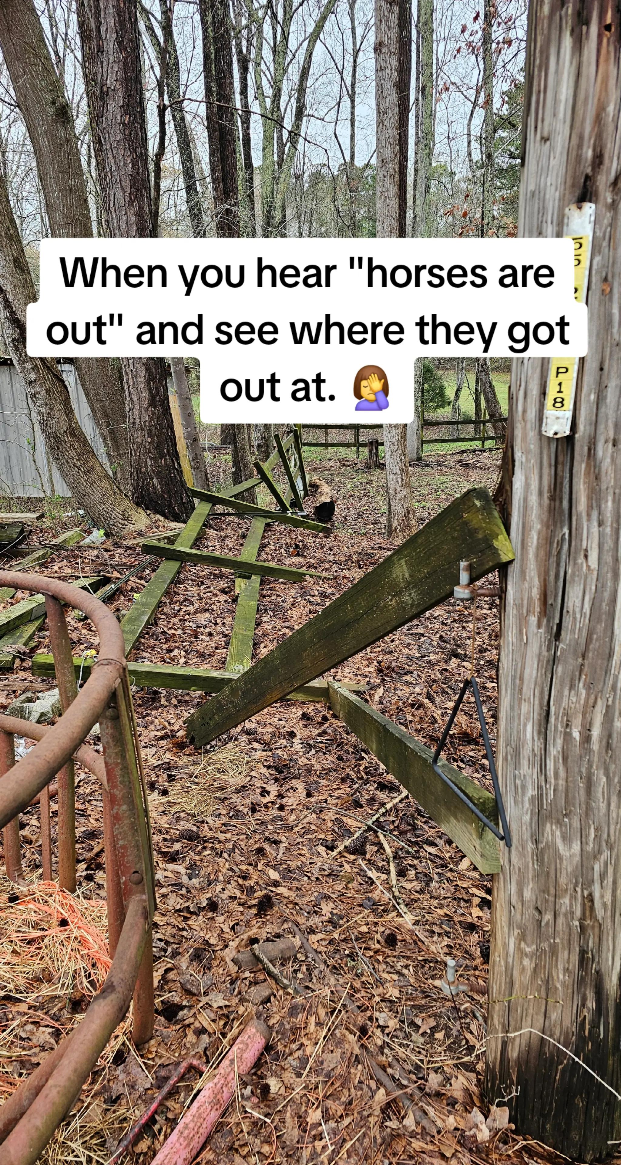 @southerncowgirl