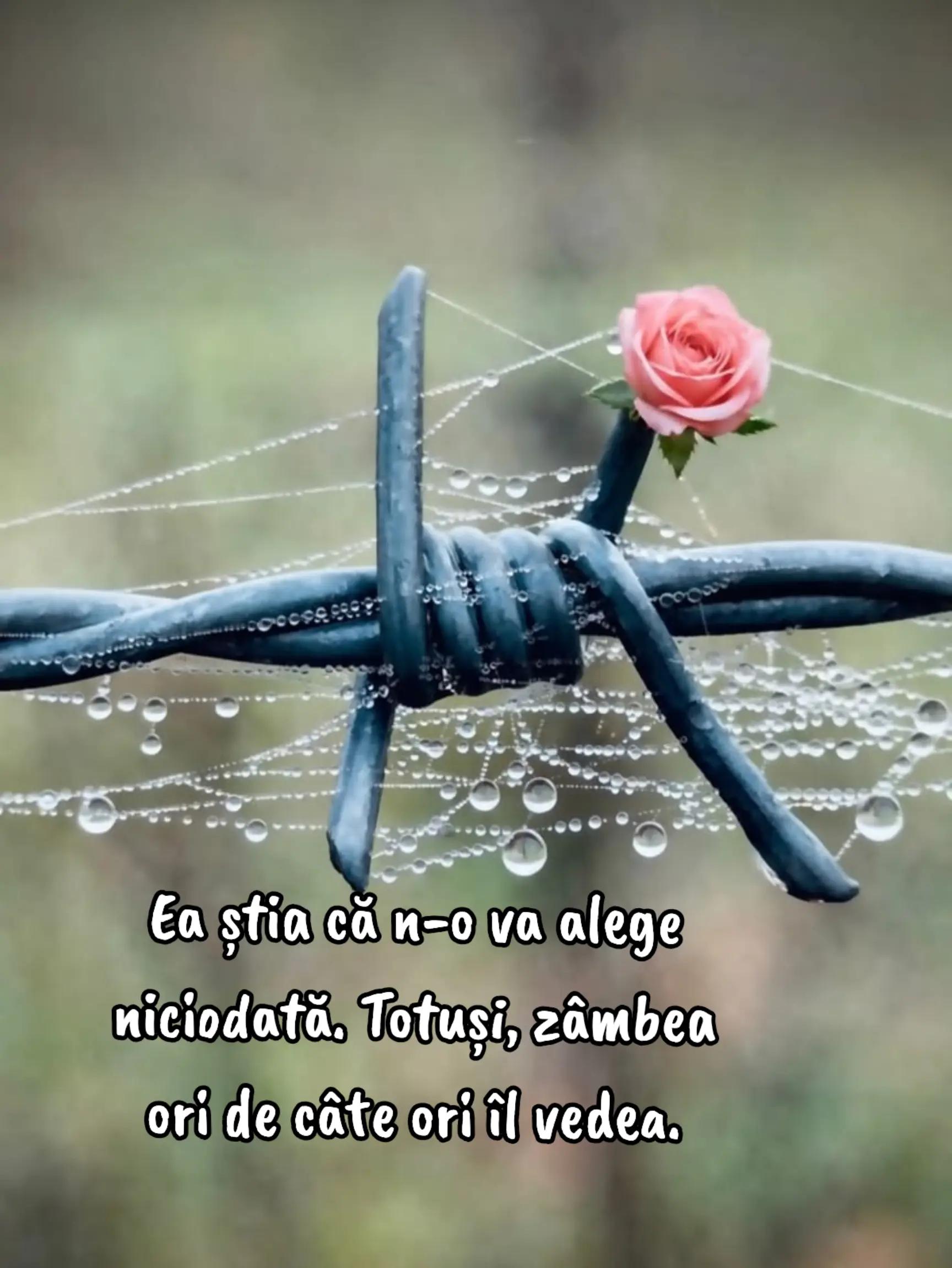 @SusiP