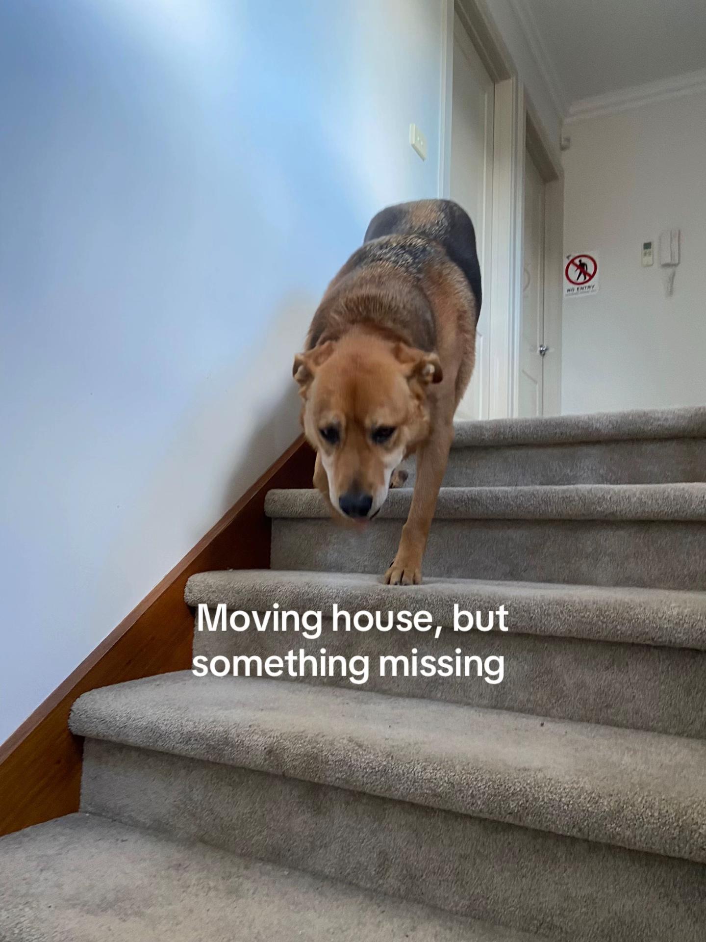 @𝒵 𝐵𝒾𝓇𝒹𝓎