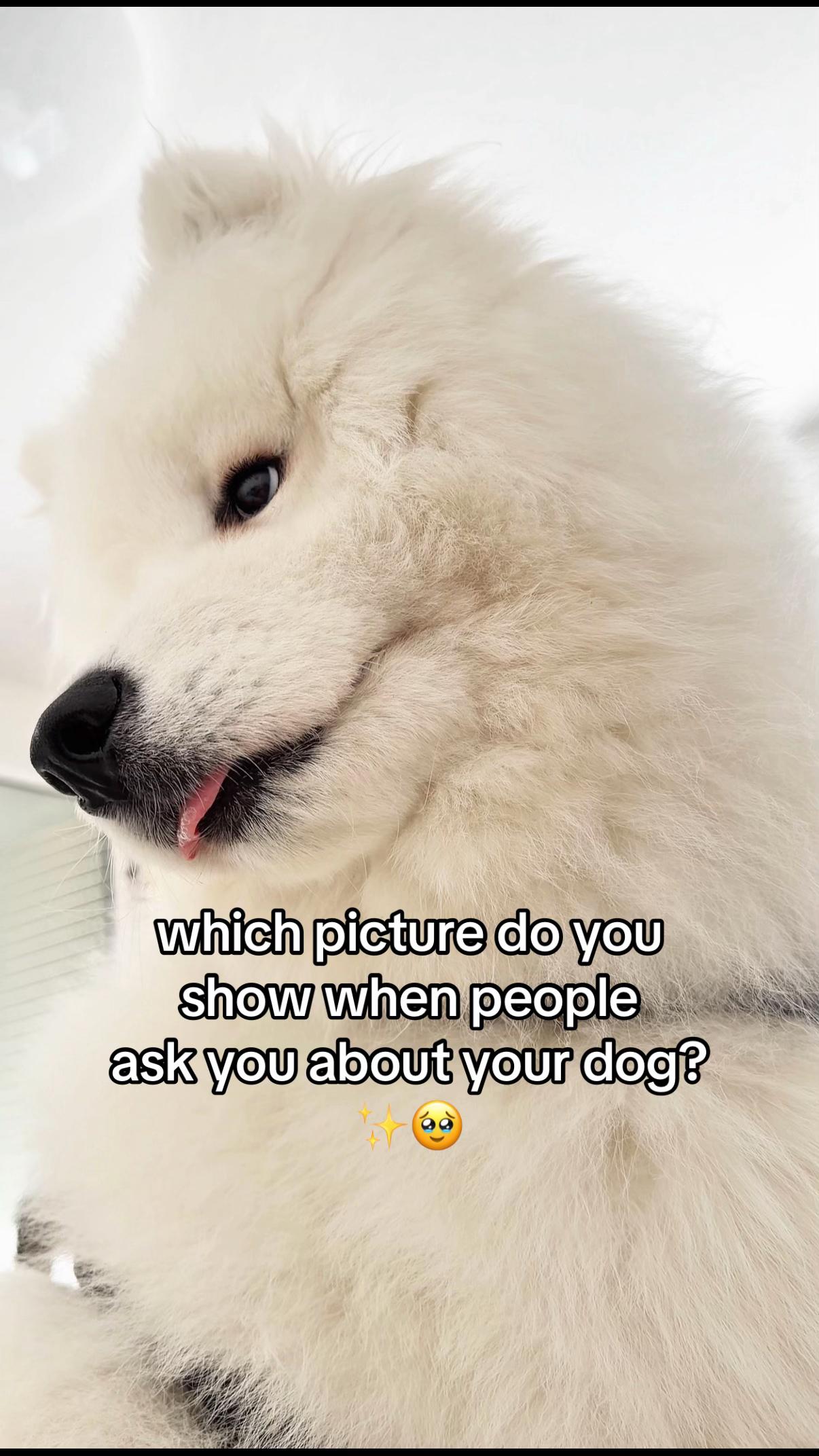 @snowydayswithlio