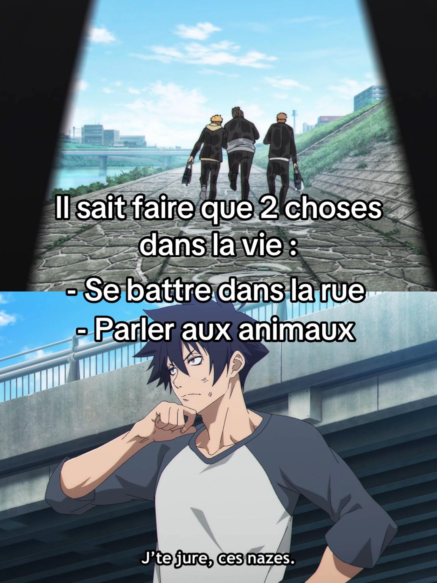 @Animecrew