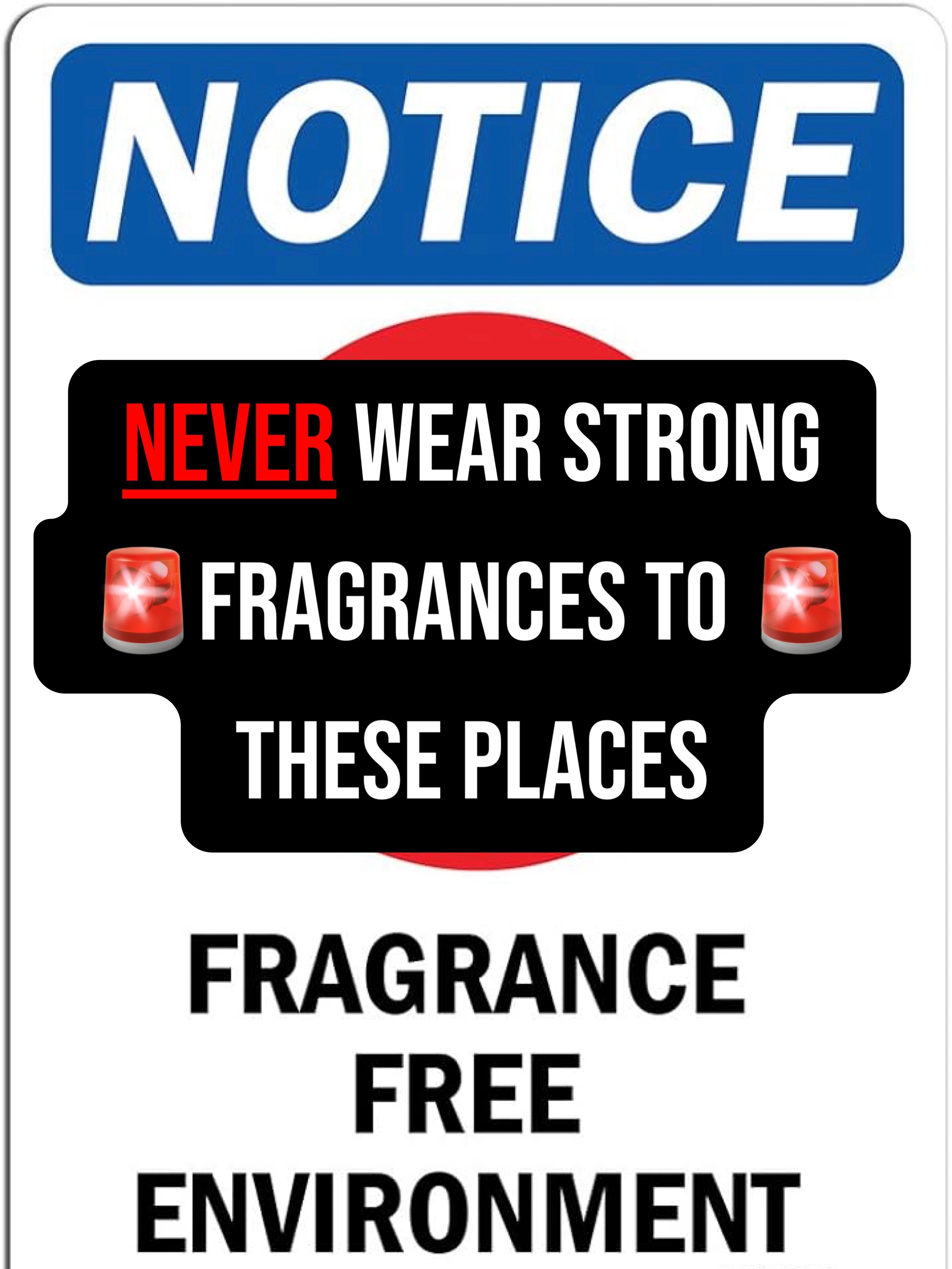 @scentellectuals