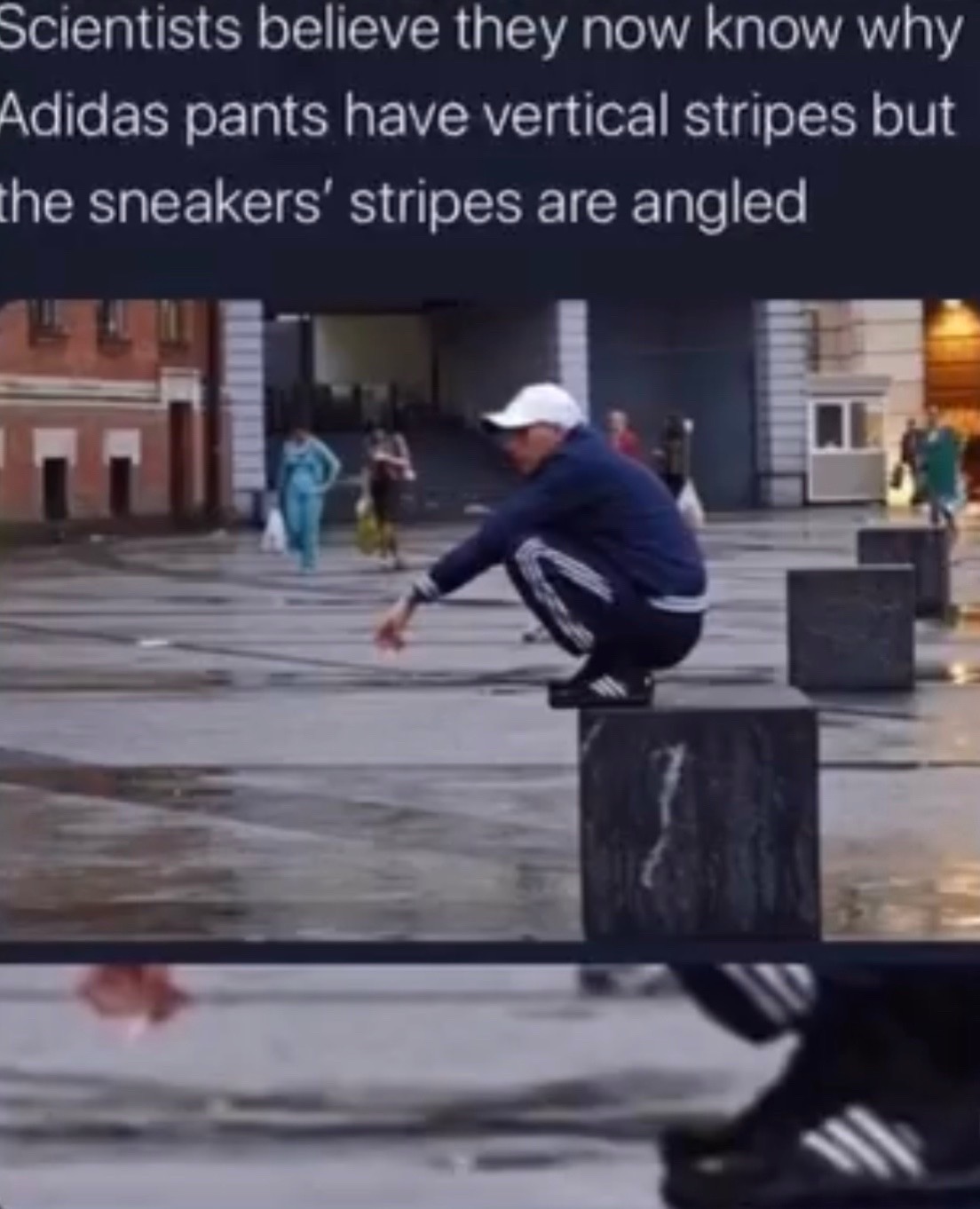 @dailyfeelz.tv