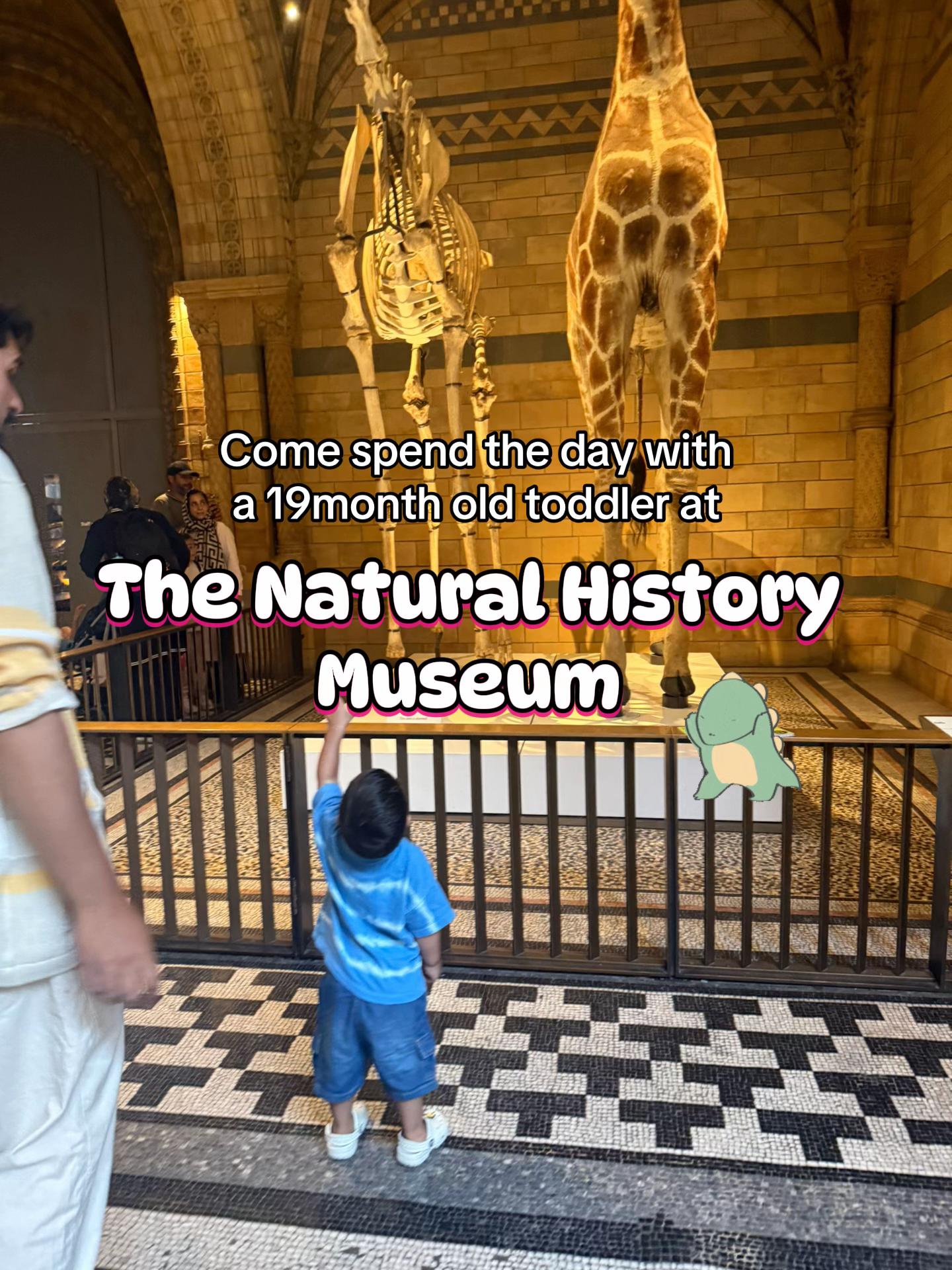 @Waqar | New Dad | Travel