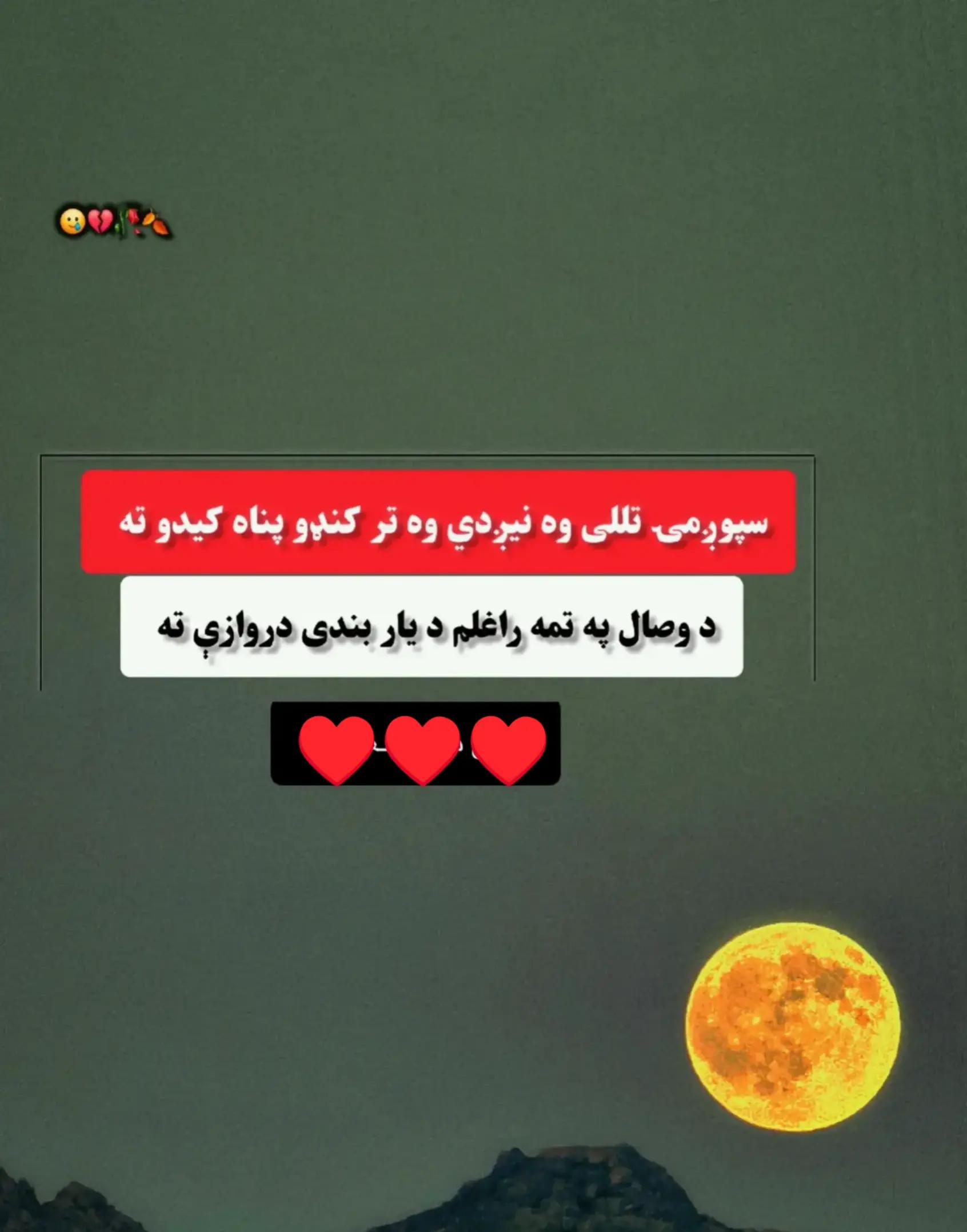 @Tayeebullah Hamdard