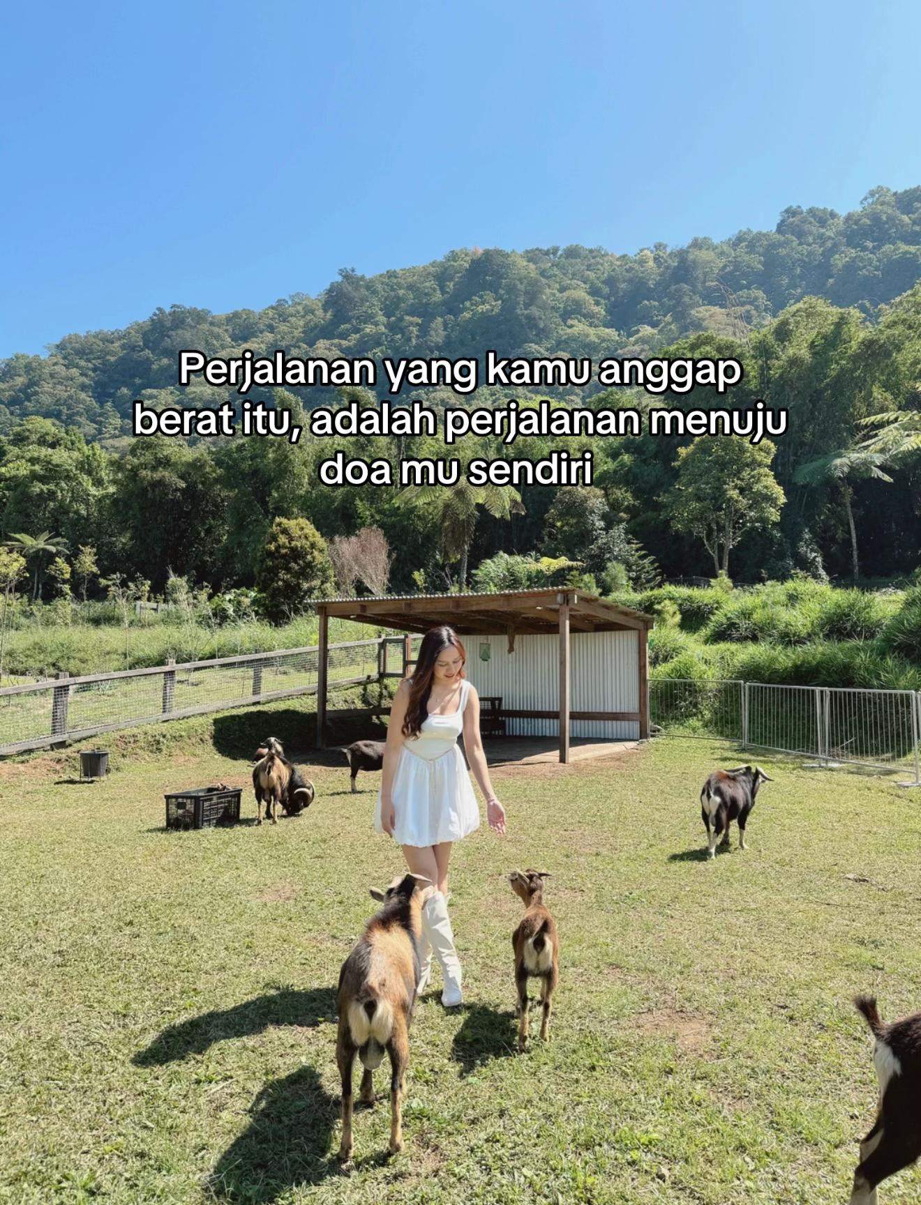 @apriapril
