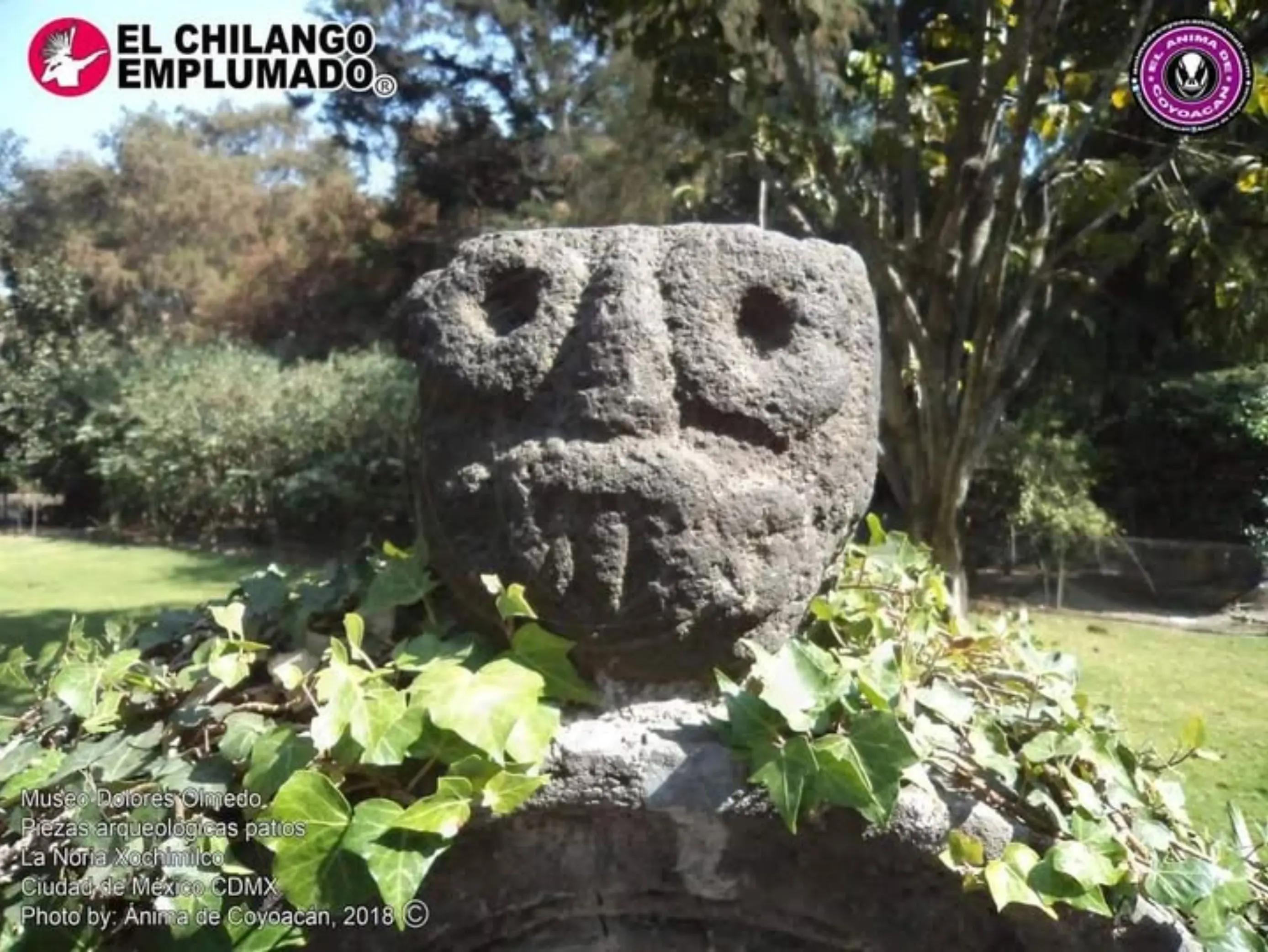 @El Anima de Coyoacan