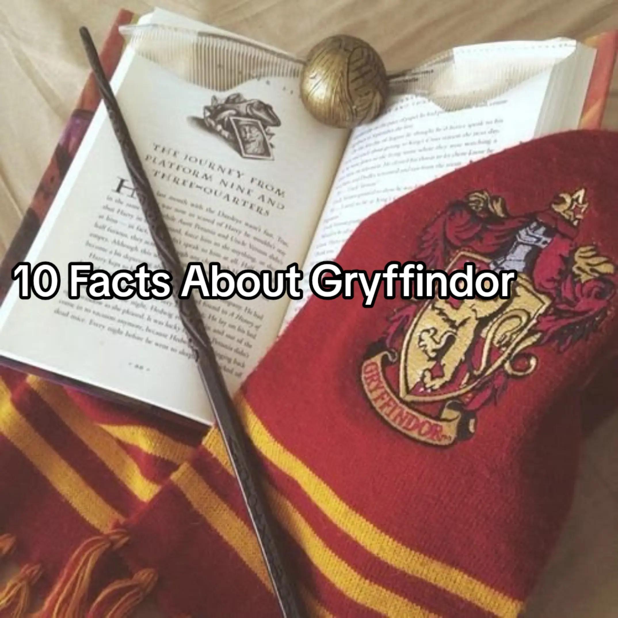 @Gryffindor Boy🦁
