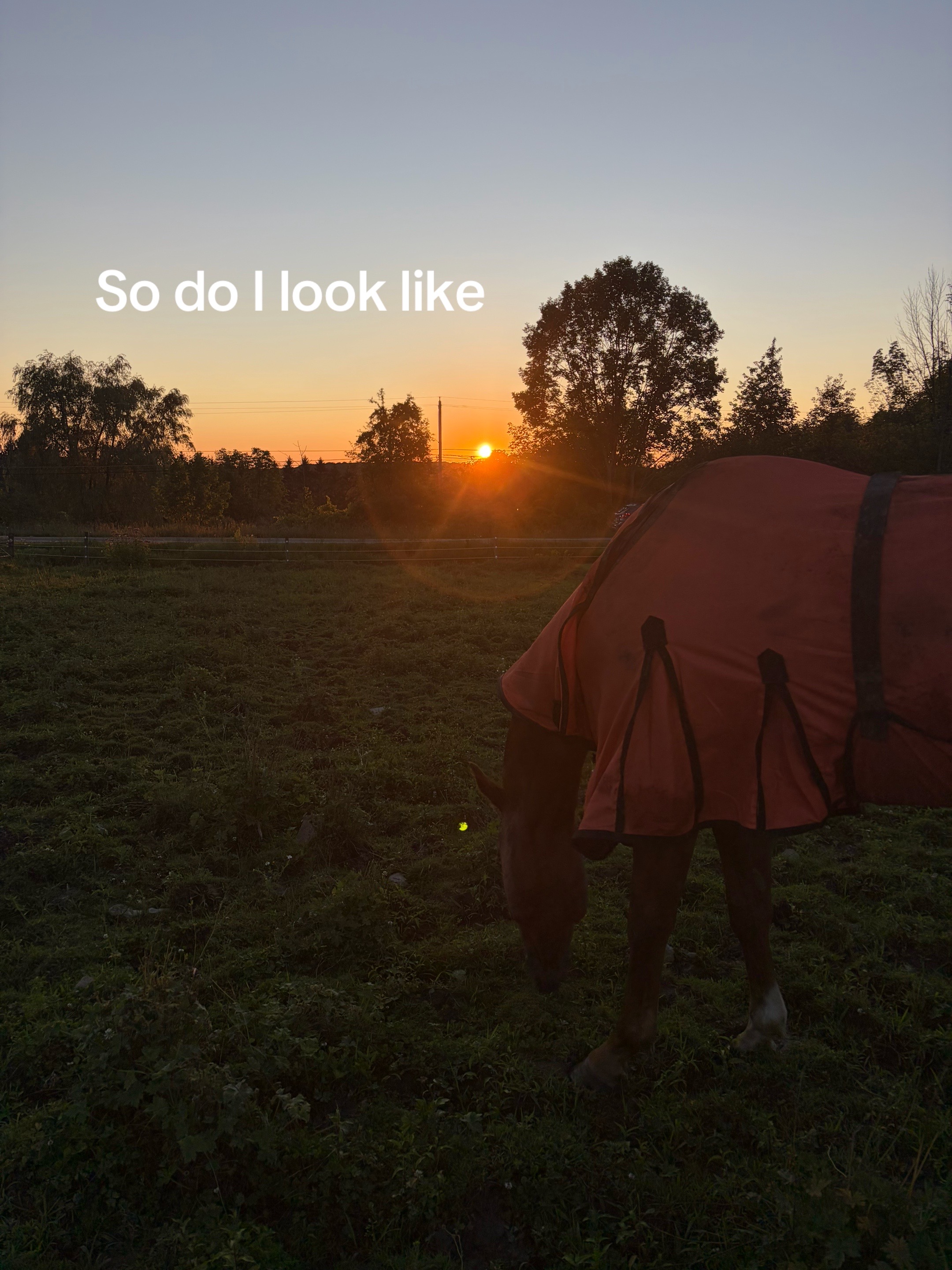 @𝔻𝔸𝕀𝕊𝕐