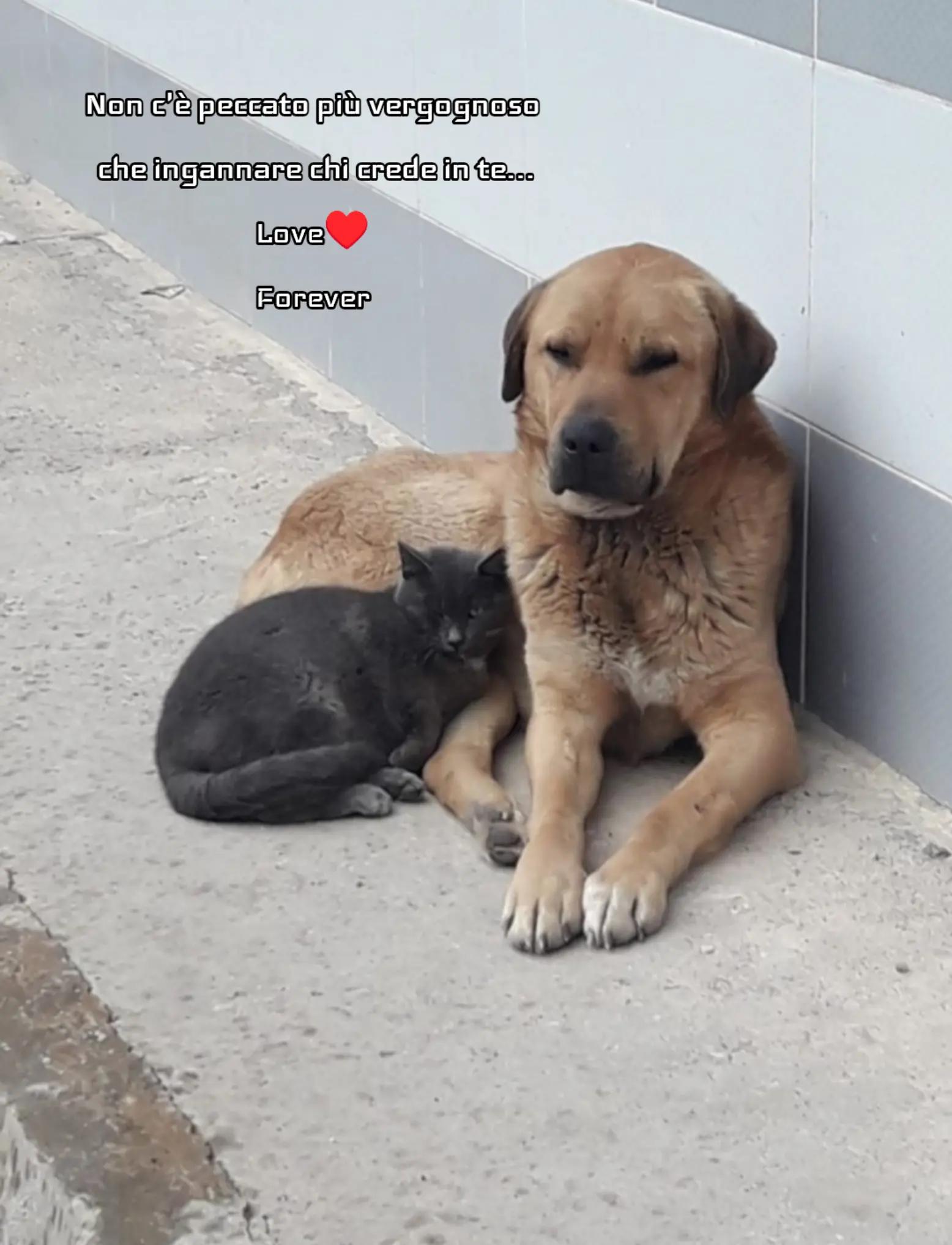 @Rossana♥️Billy♥️ Léon ♥️