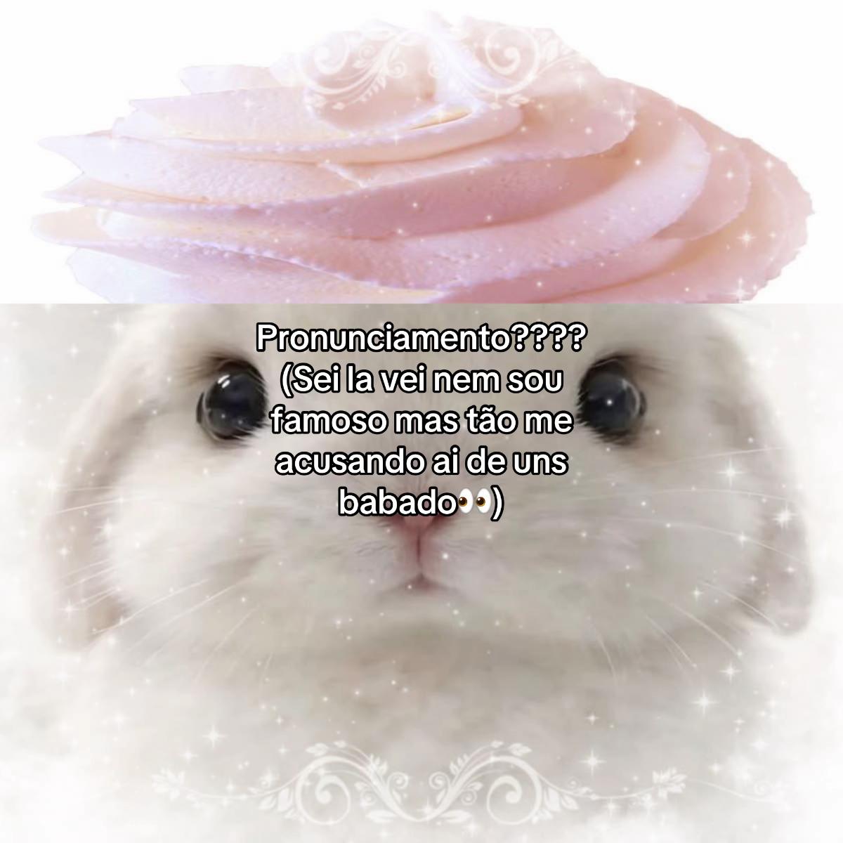@ᨳ ׂ 𓈒finn🐾୭ ˚.