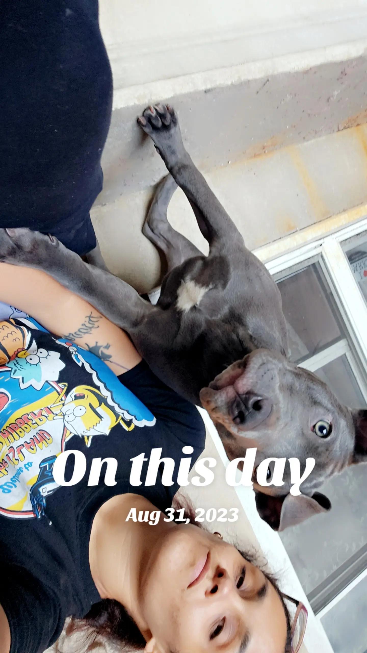 @Gigglez🤭