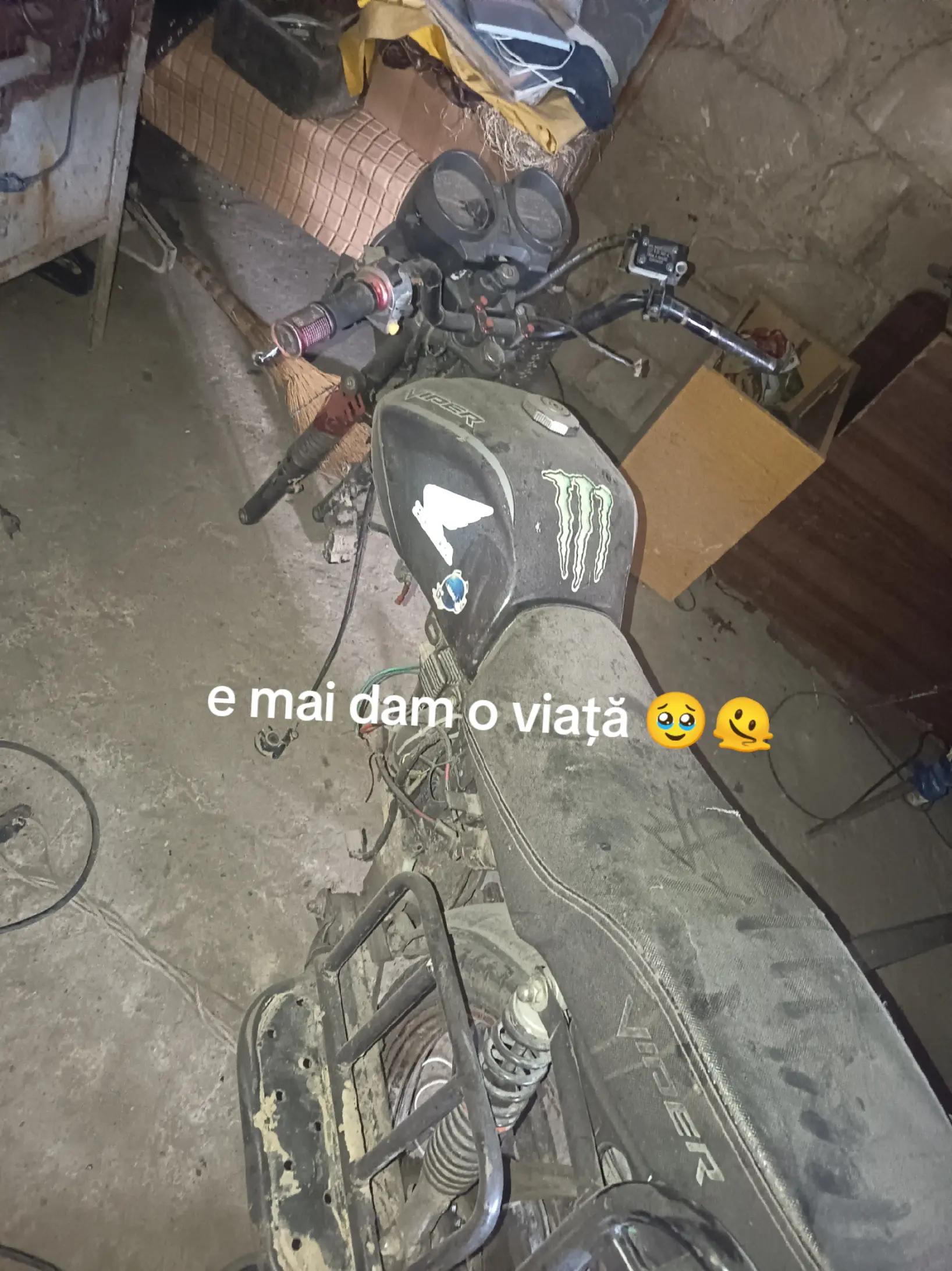 @stefan🏍️