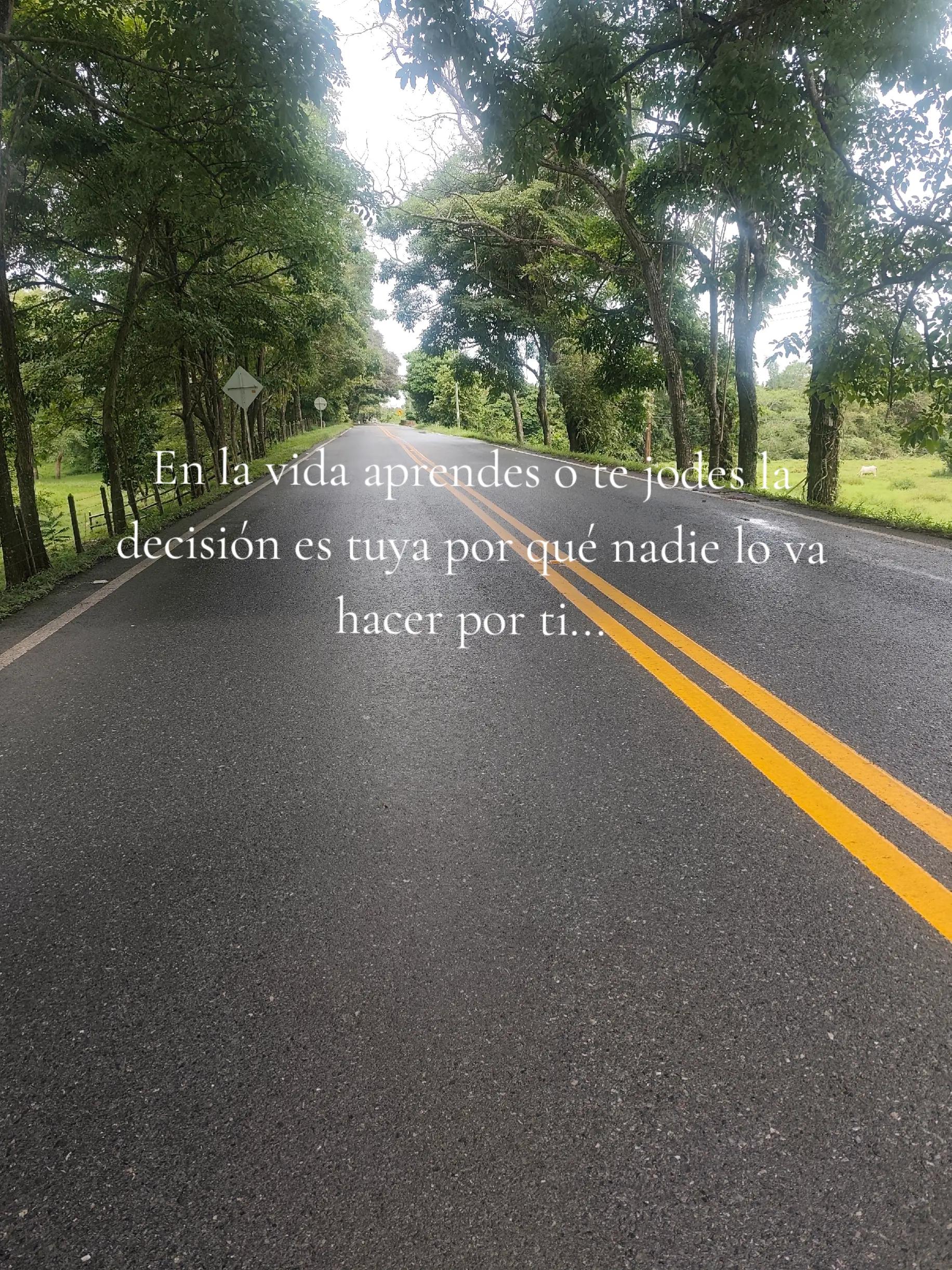 @Andrés Narváez Yanez