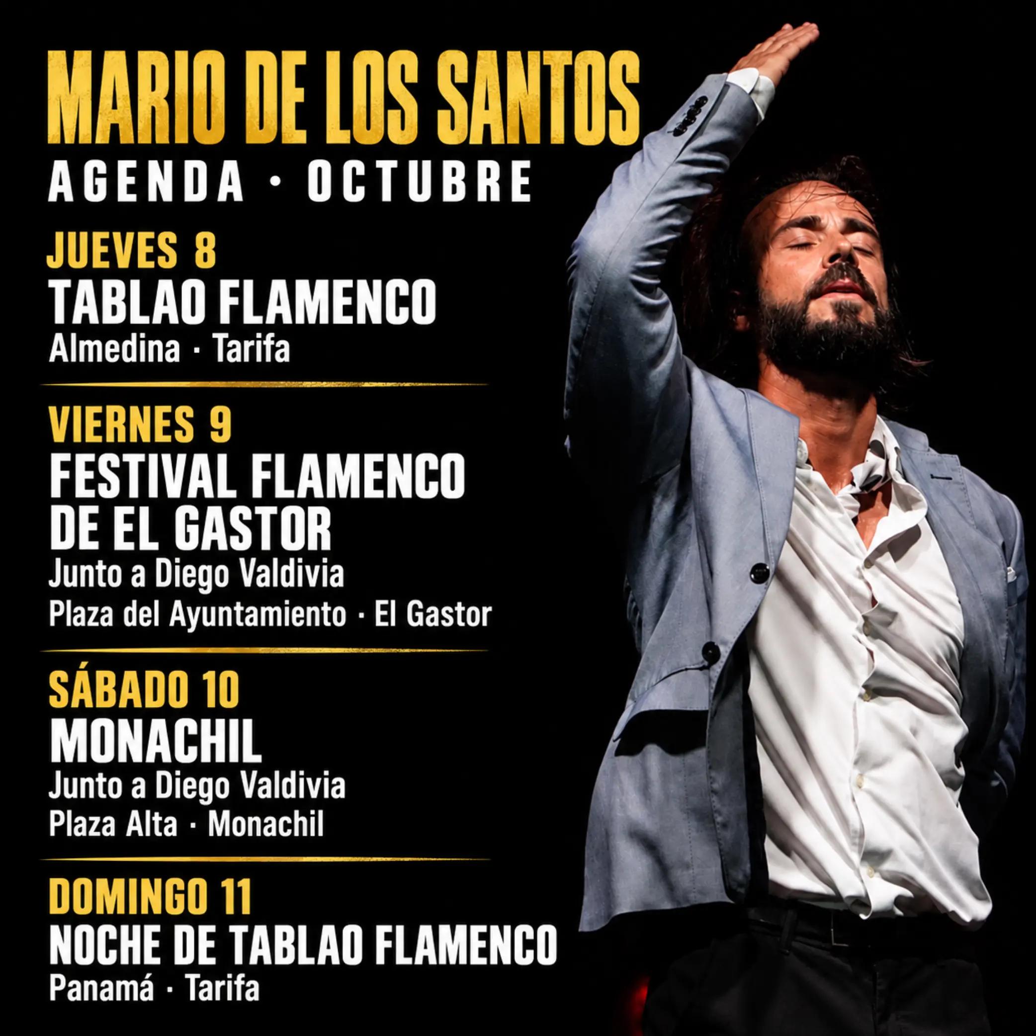 @Mario de los Santos Flamenco