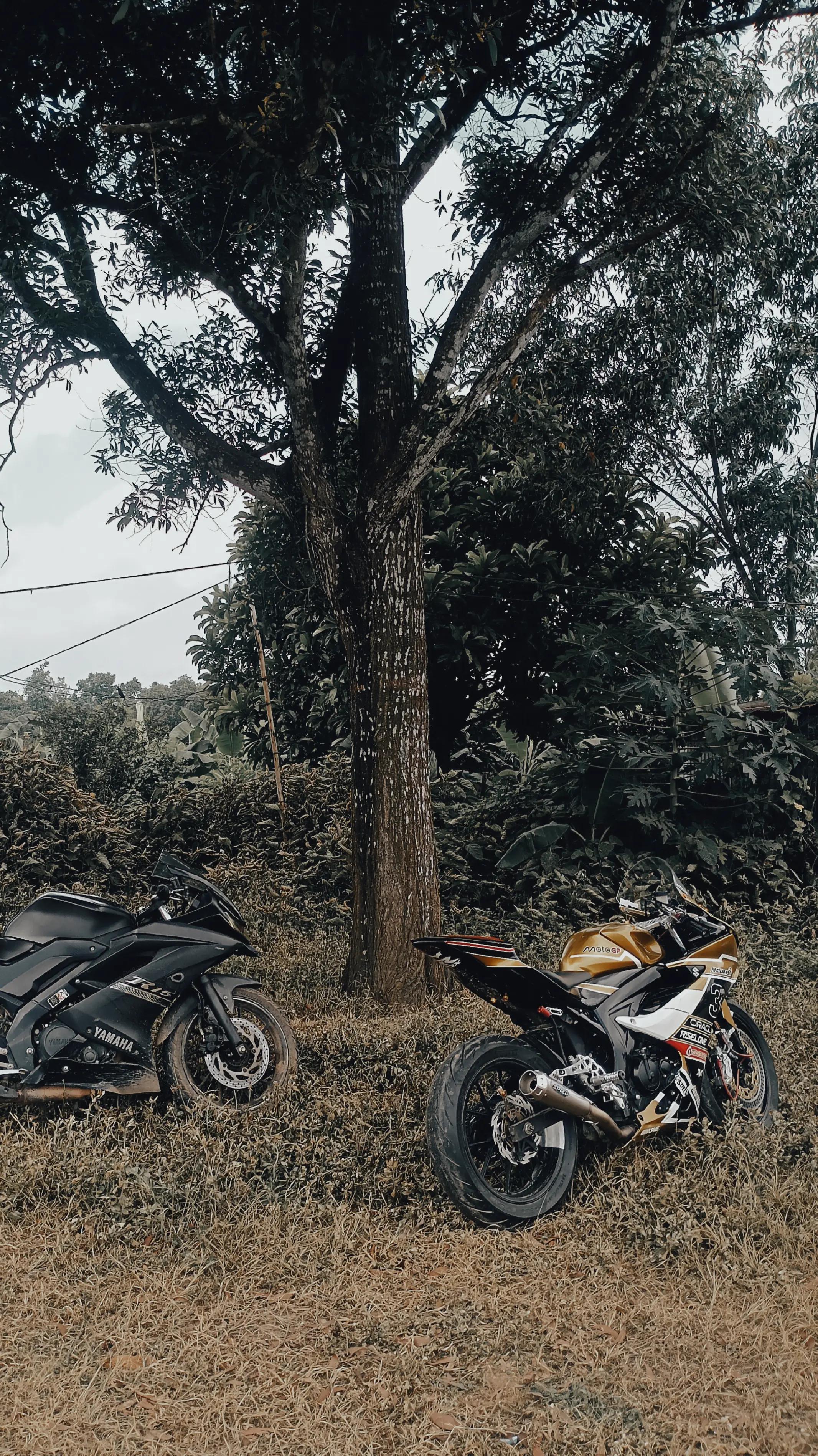 @R I S E L O N E 🇮🇩