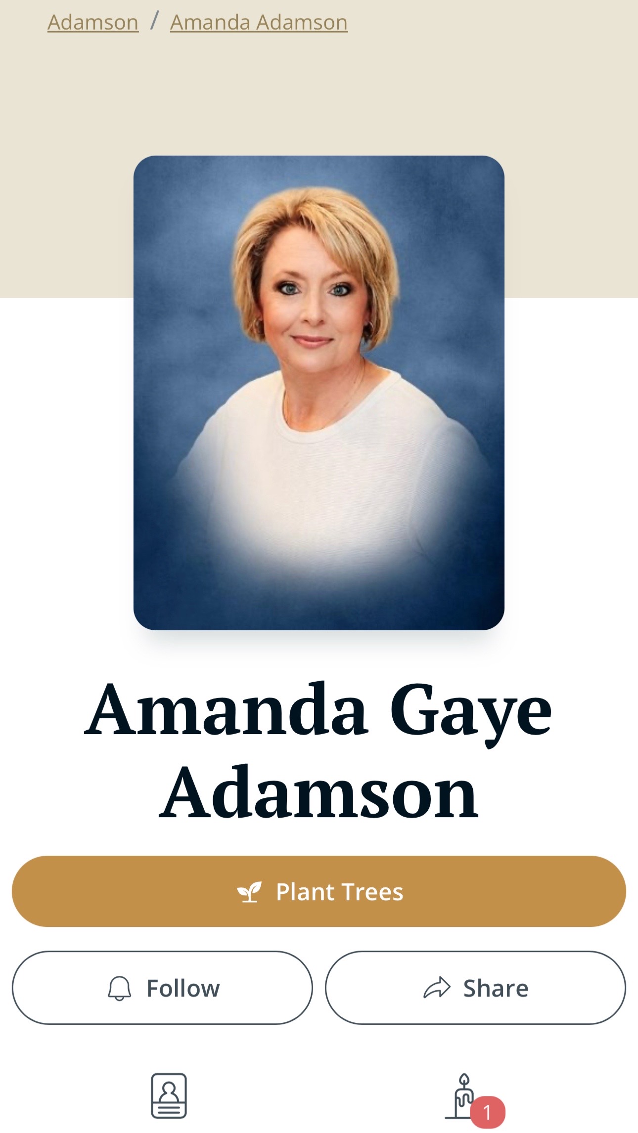@Amanda Holliday