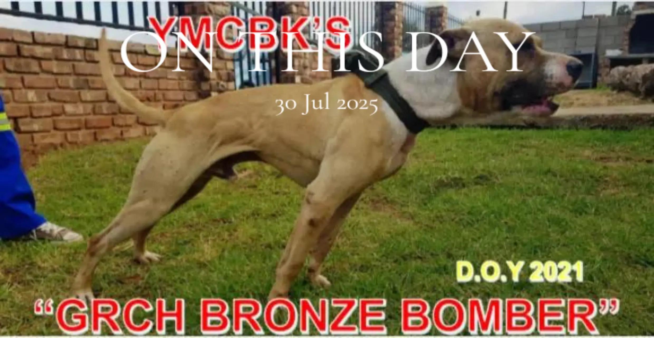 @SAAPBT_GAMEDOGS