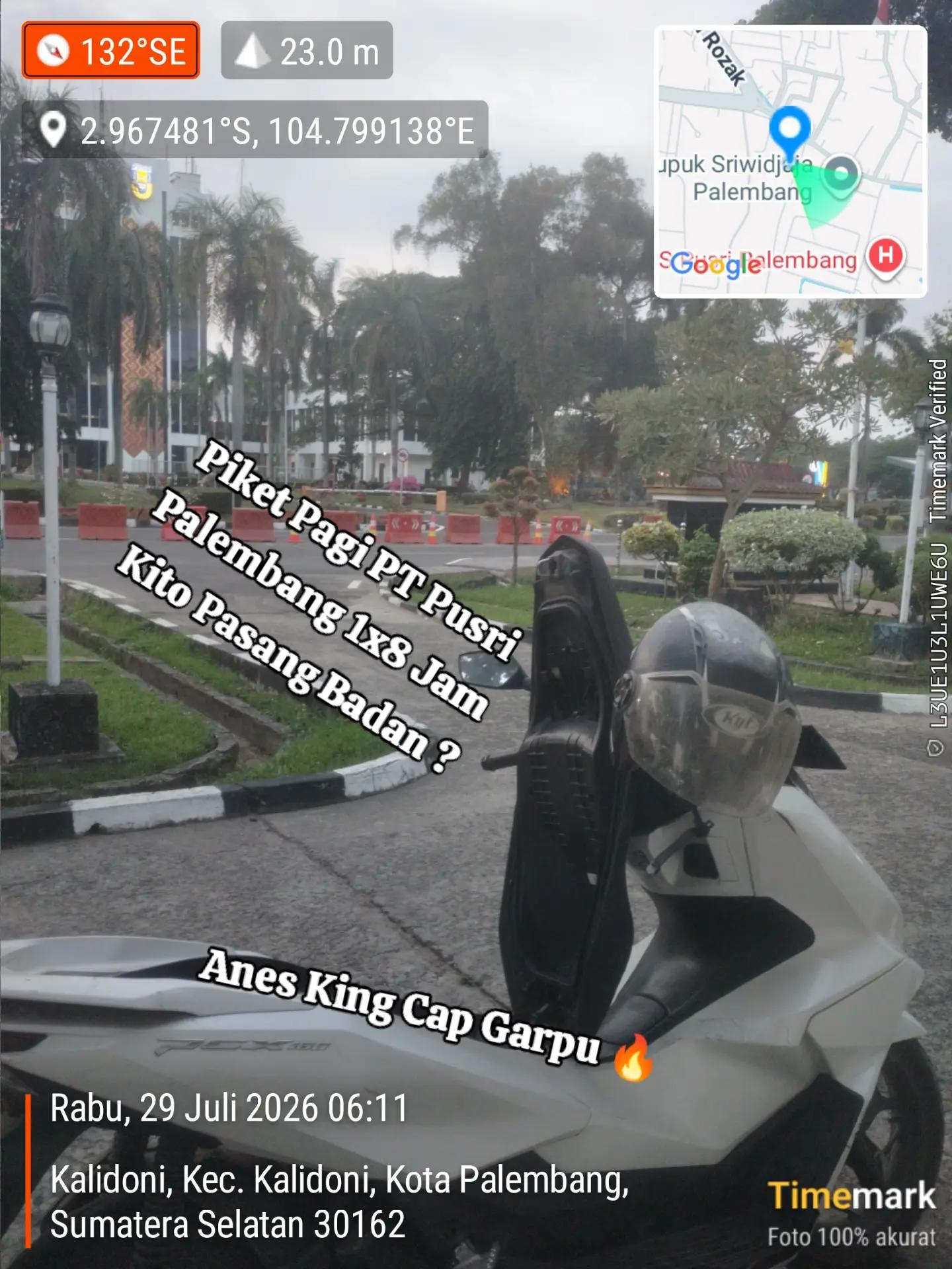 @Anes_King_cap_garpu