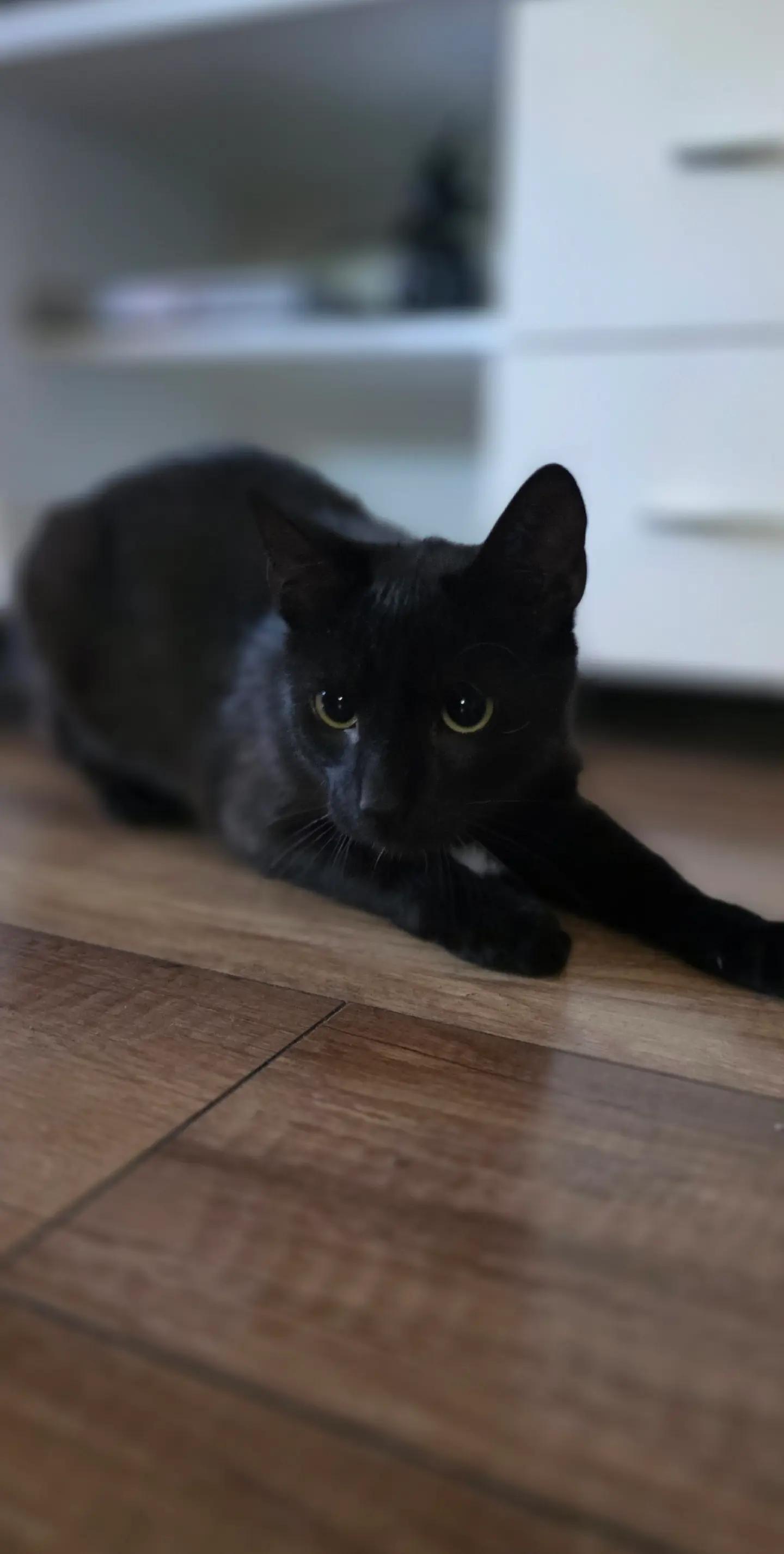 @mała_czarna🖤😻