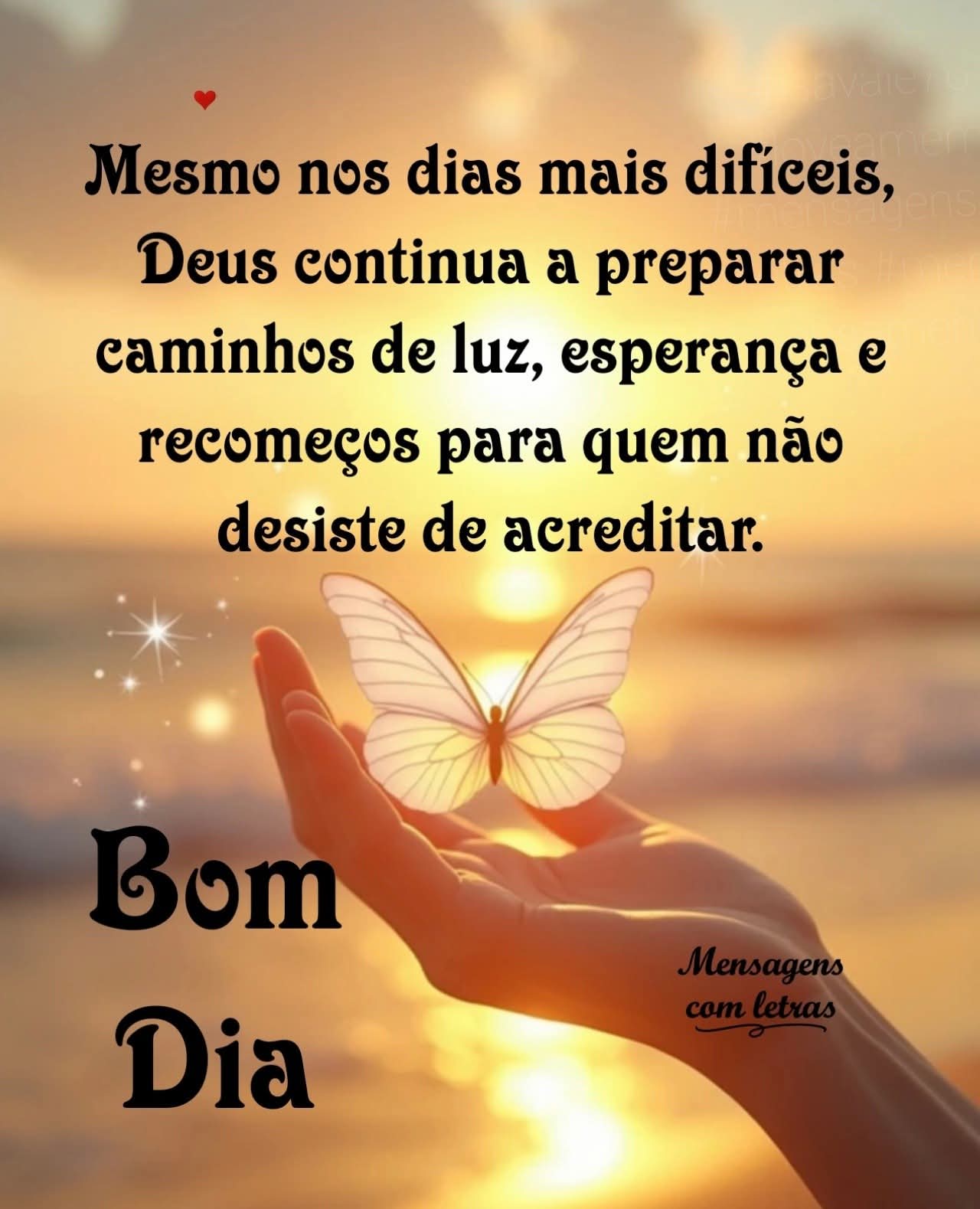 @Luciana Santos Chaga