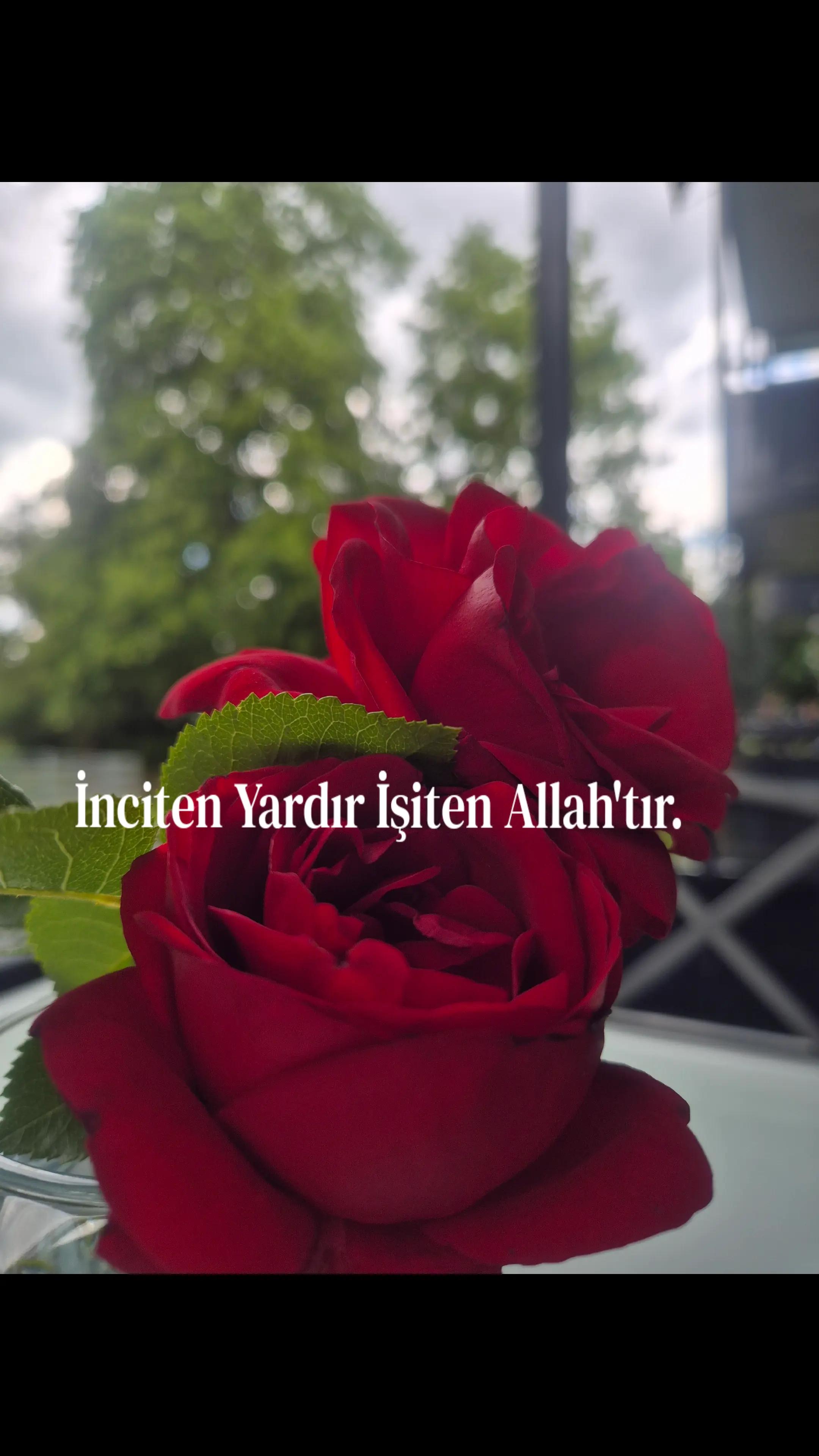 @SİBEL AY