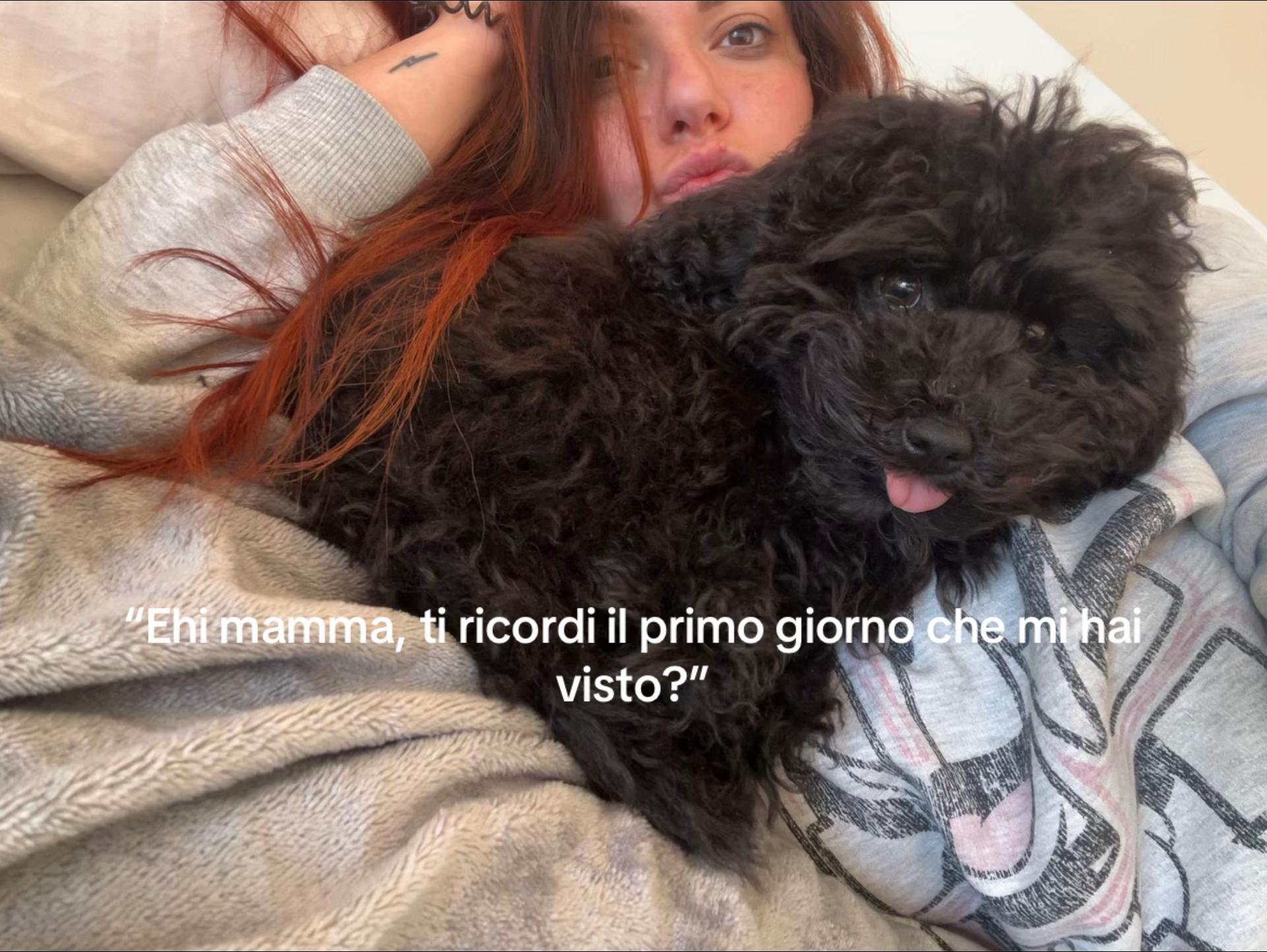 @Simona Gentile
