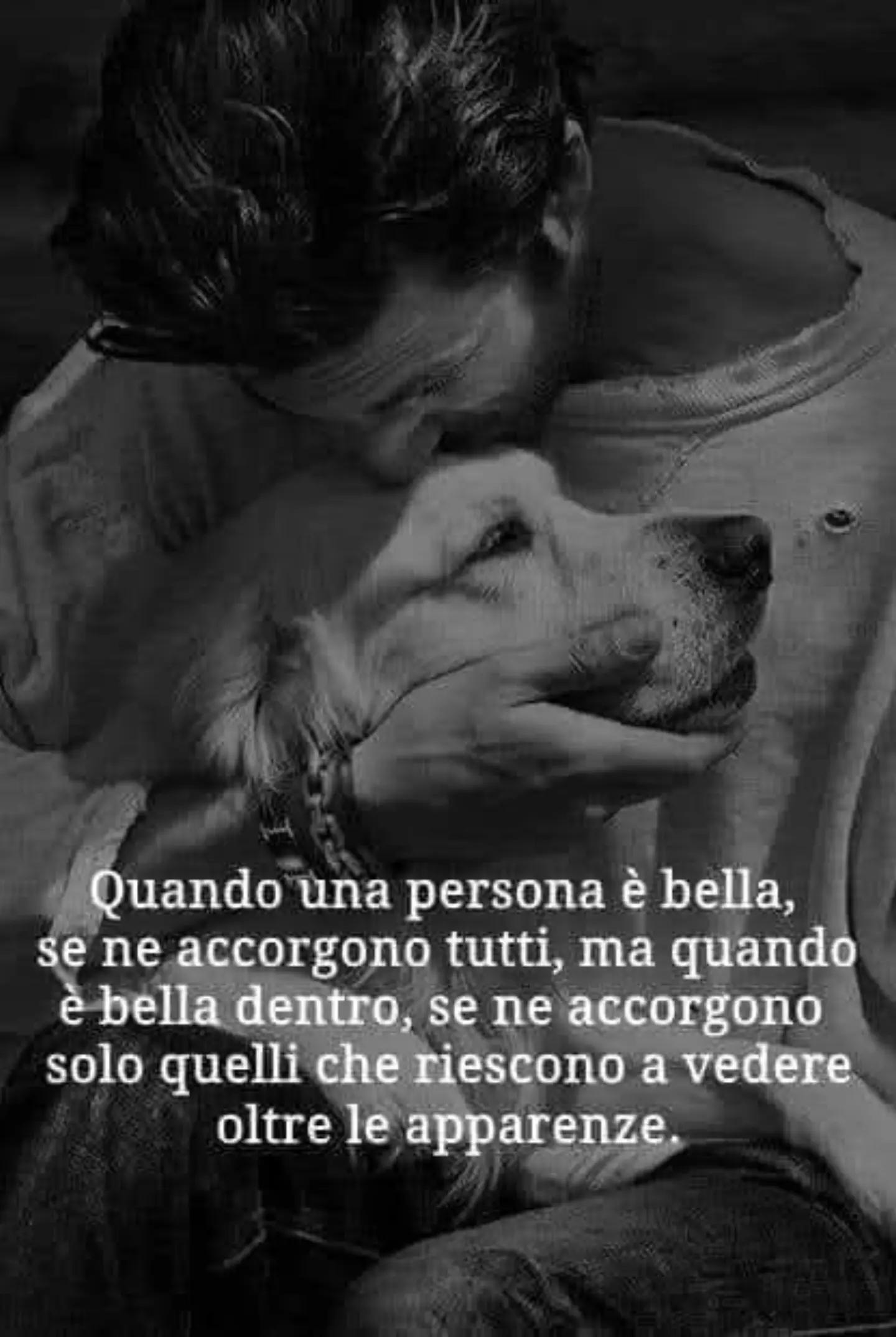 @massimopaniccia58