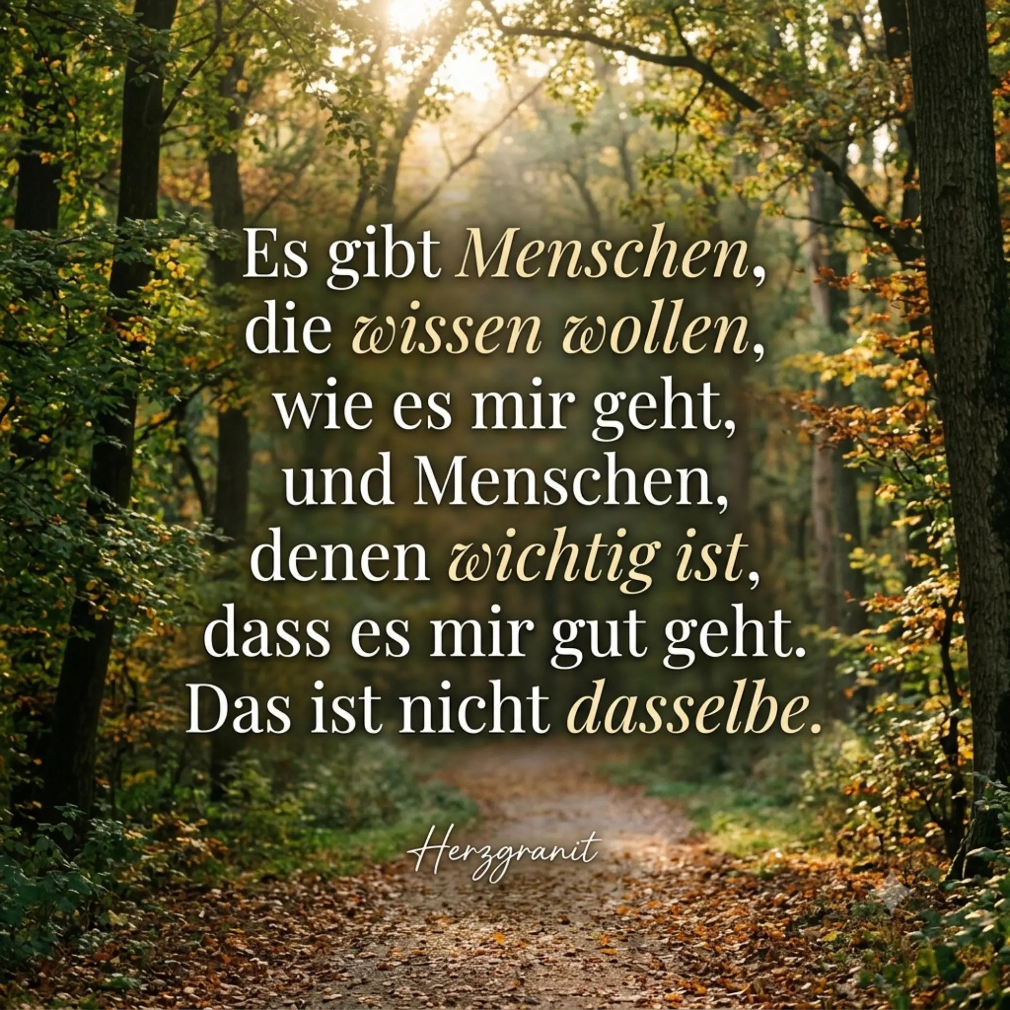 @Herzgranit ♡